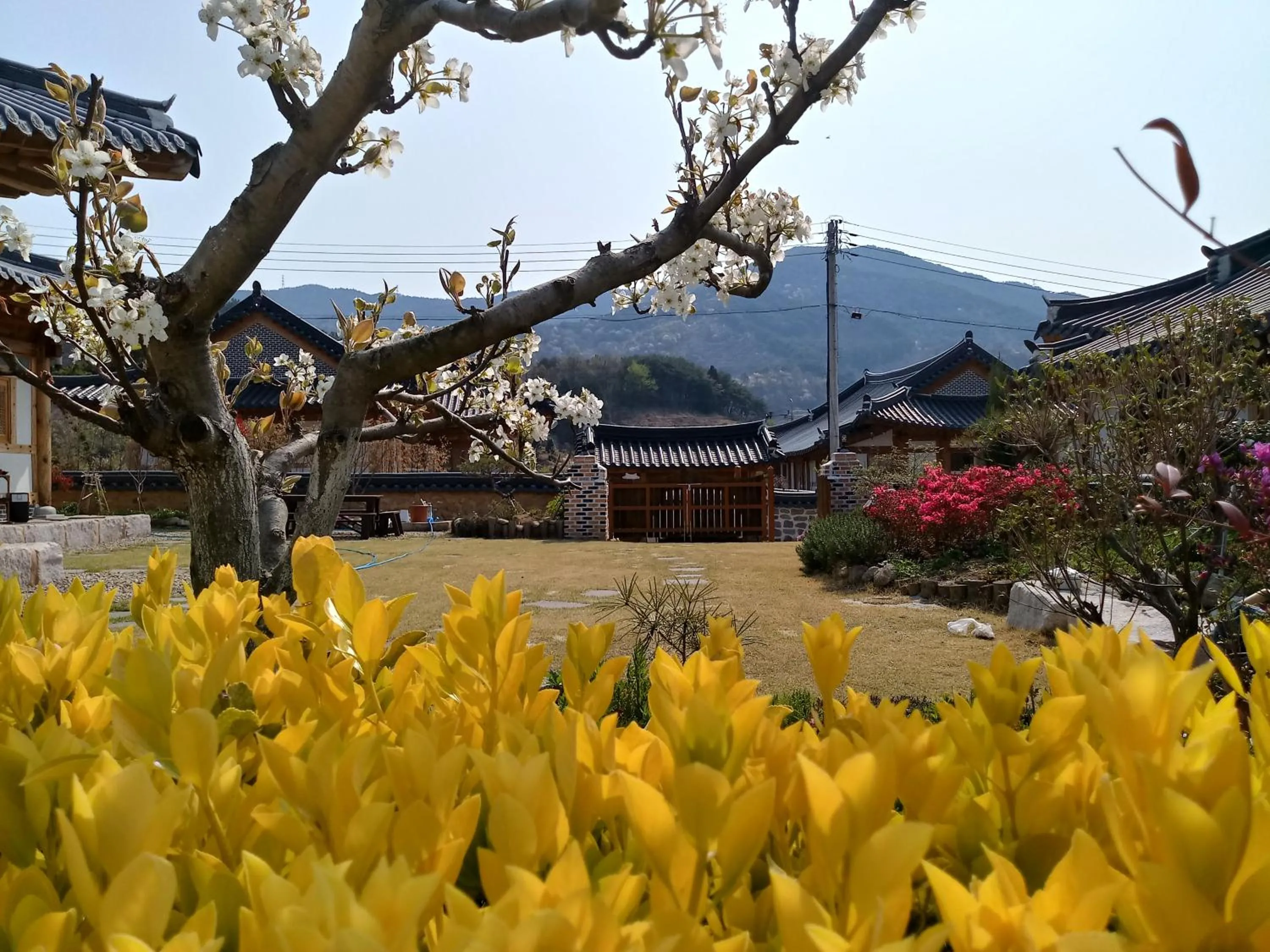 Mirinae Hanok Tradiational House
