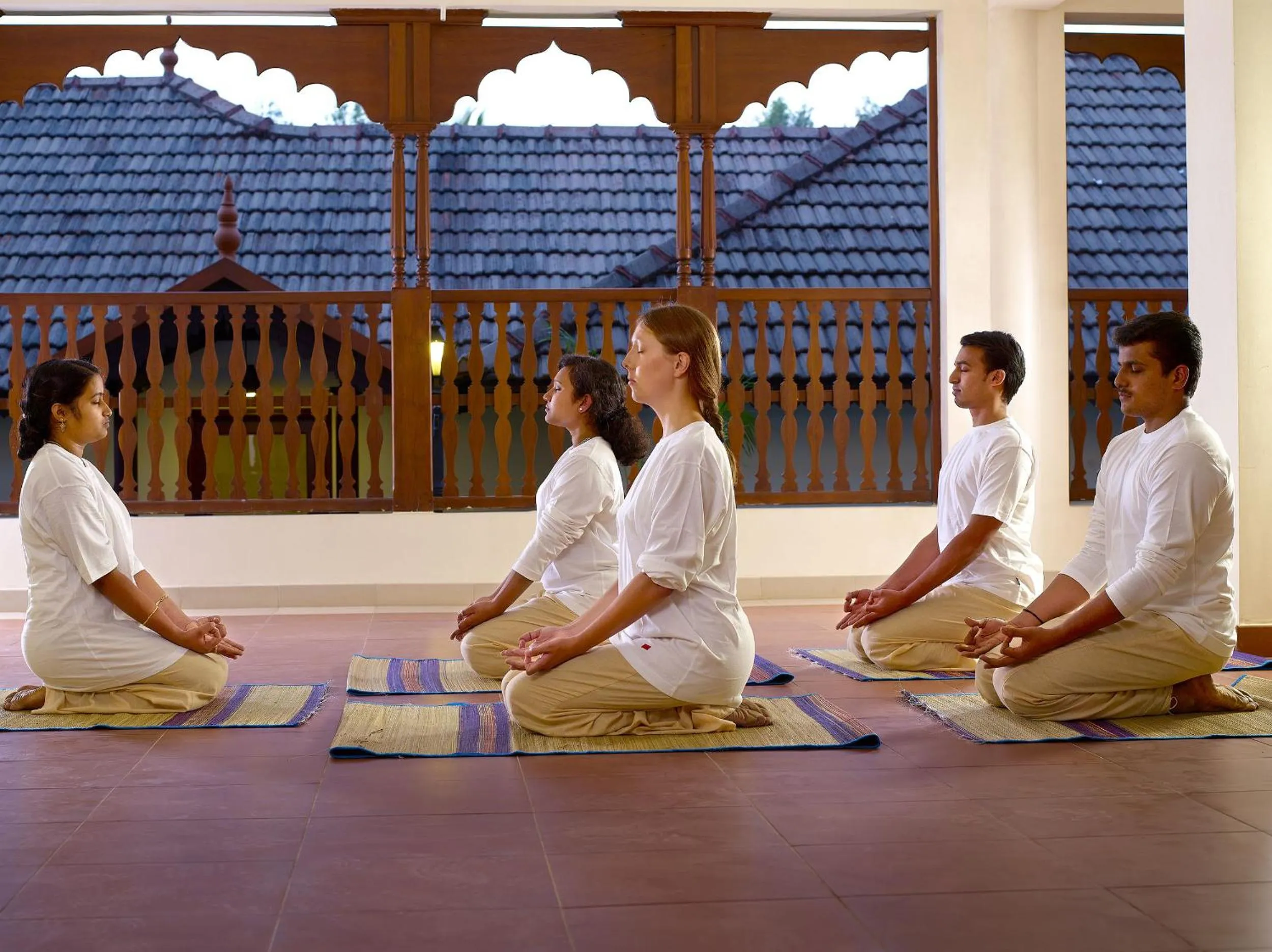 Area and facilities in Elephant Court Thekkady