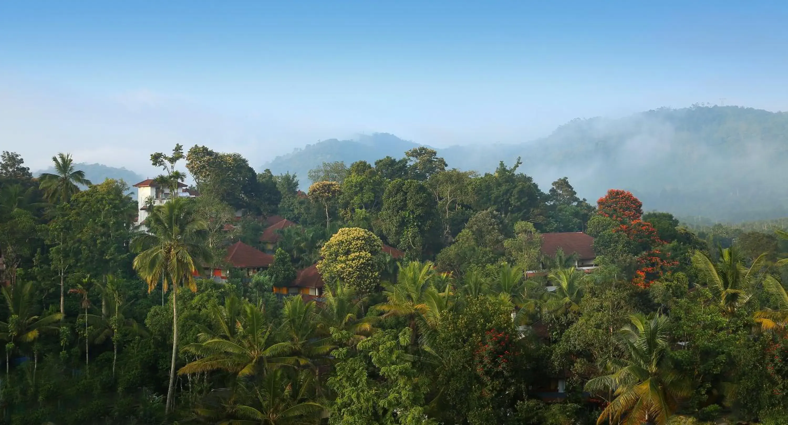 Property building in Elephant Court Thekkady Property building in Elephant Court Thekkady