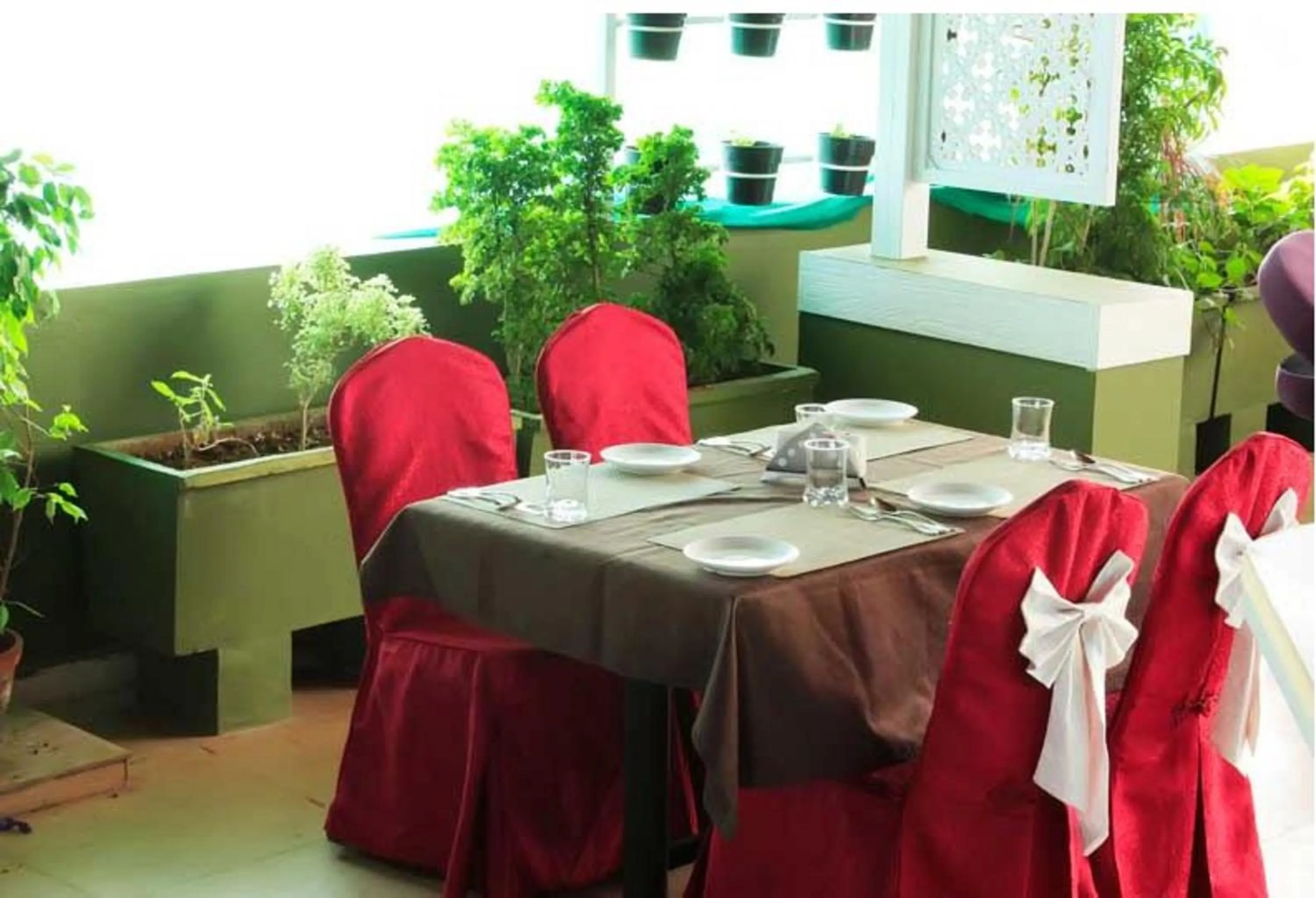 Toilet in NM Royale County