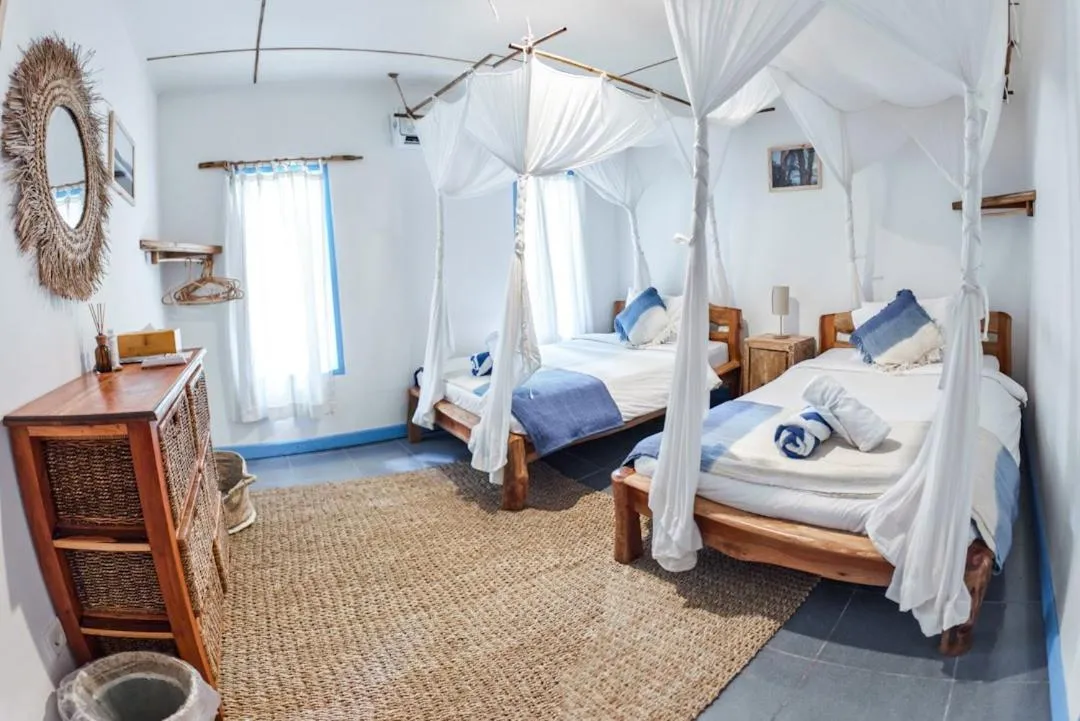 Photo of the whole room in Hollow Tree's Resort