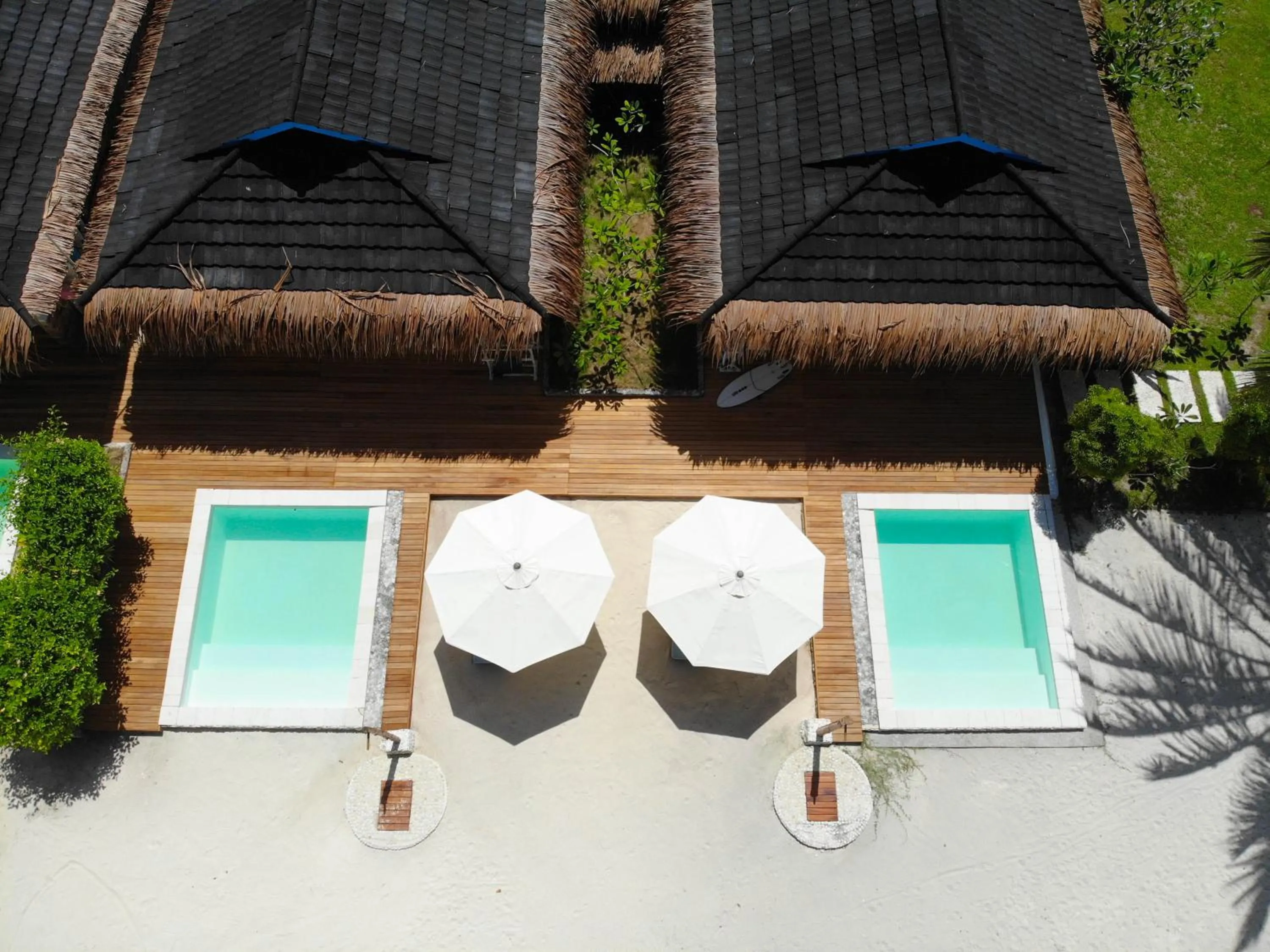 Swimming pool in Hollow Tree's Resort