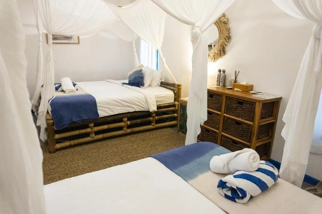Photo of the whole room in Hollow Tree's Resort