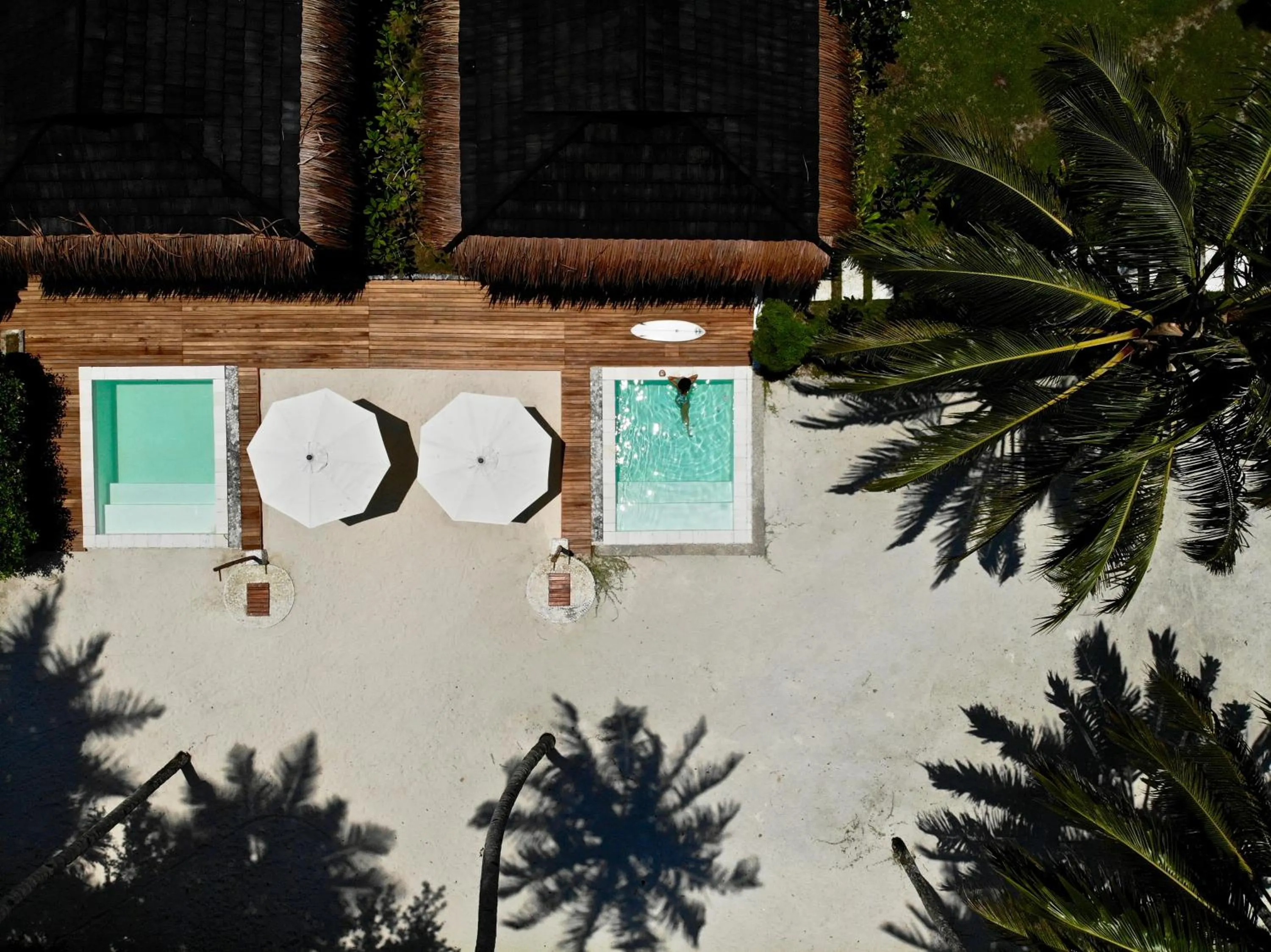 Swimming pool in Hollow Tree's Resort