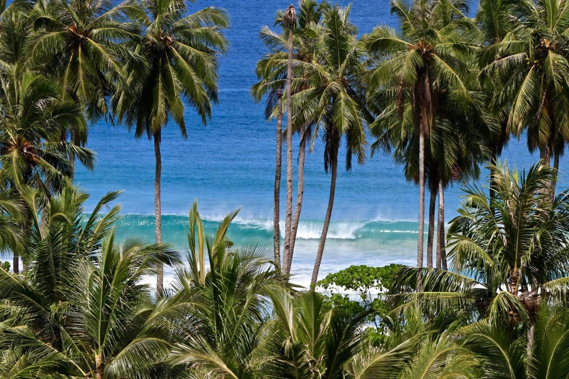 Beach in Hollow Tree's Resort