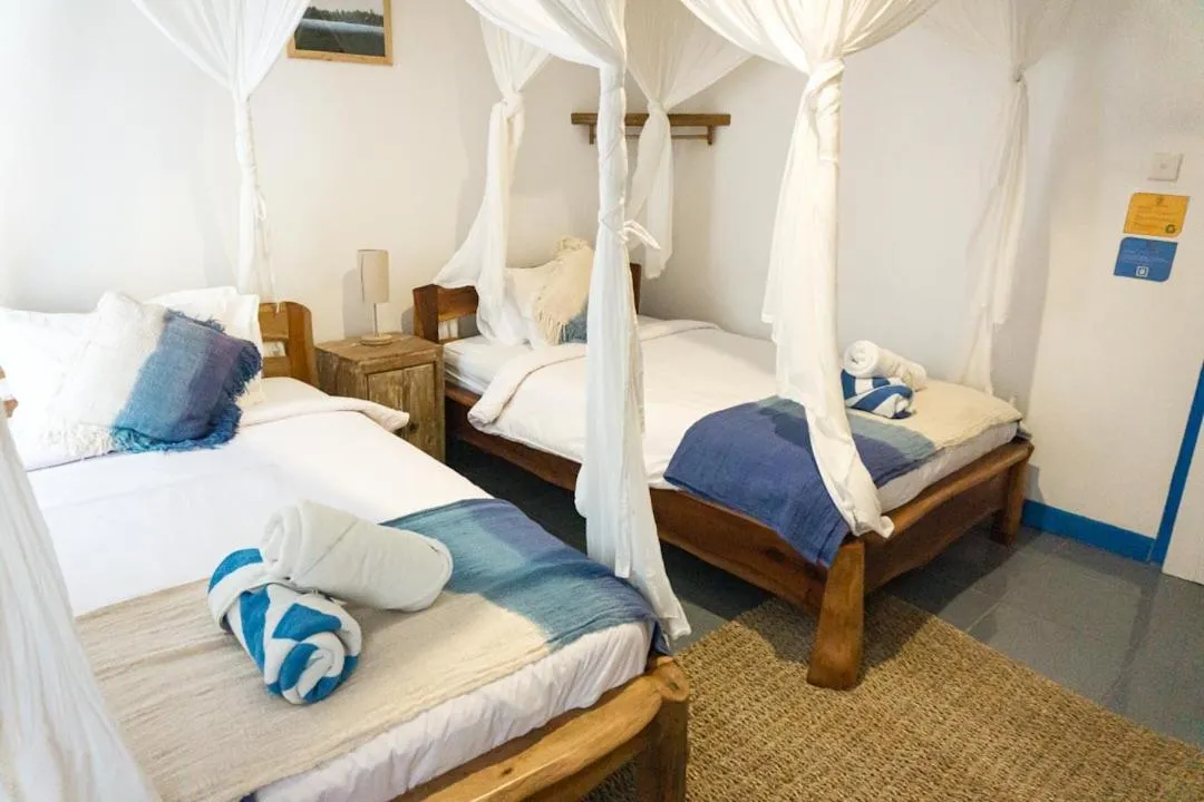 Photo of the whole room in Hollow Tree's Resort