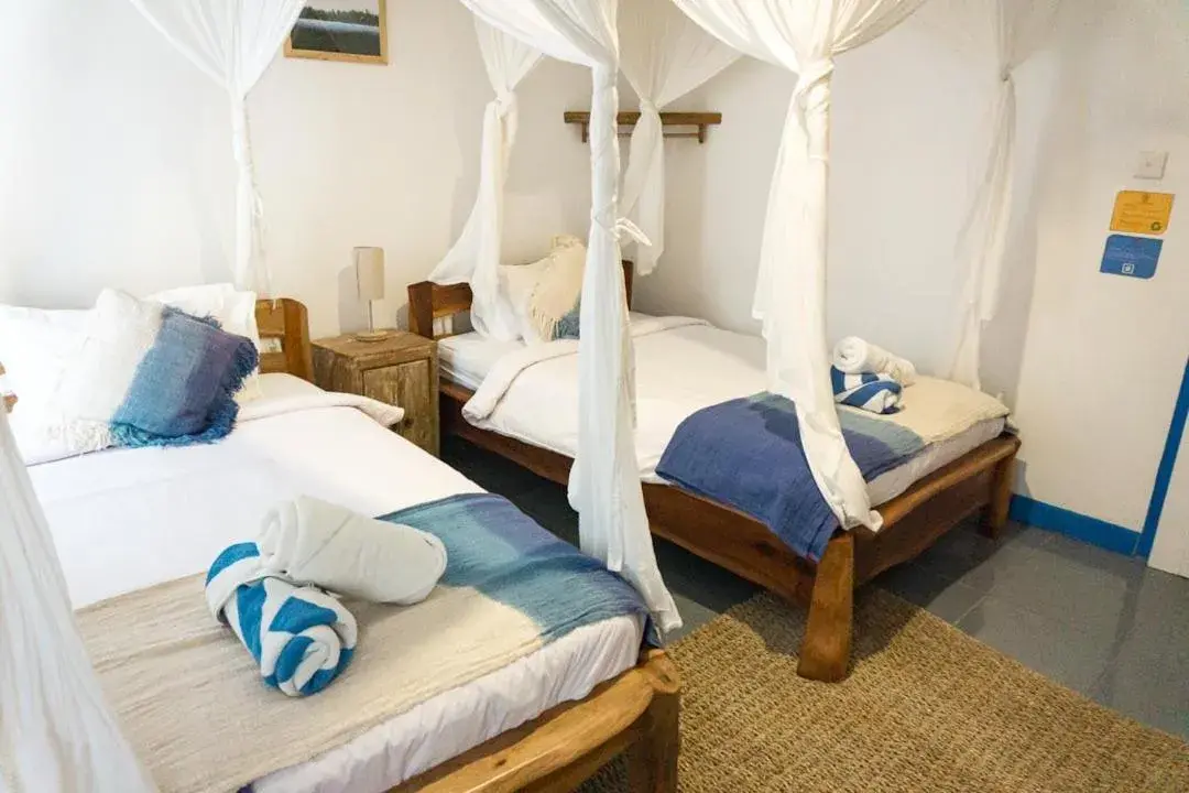 Standard Double or Twin Room in Hollow Tree's Resort Standard Double or Twin Room in Hollow Tree's Resort