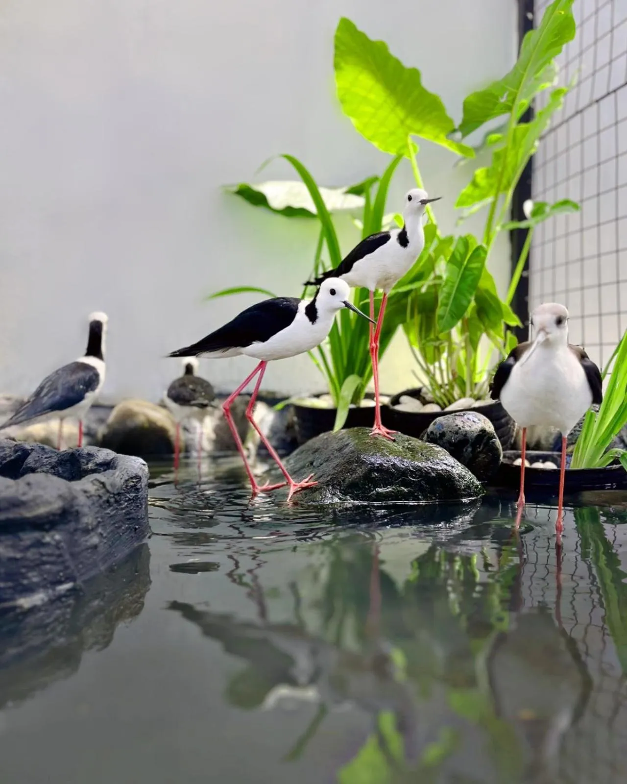 Area and facilities in Hotel Fortunagrande Jember By Fosia Hotels