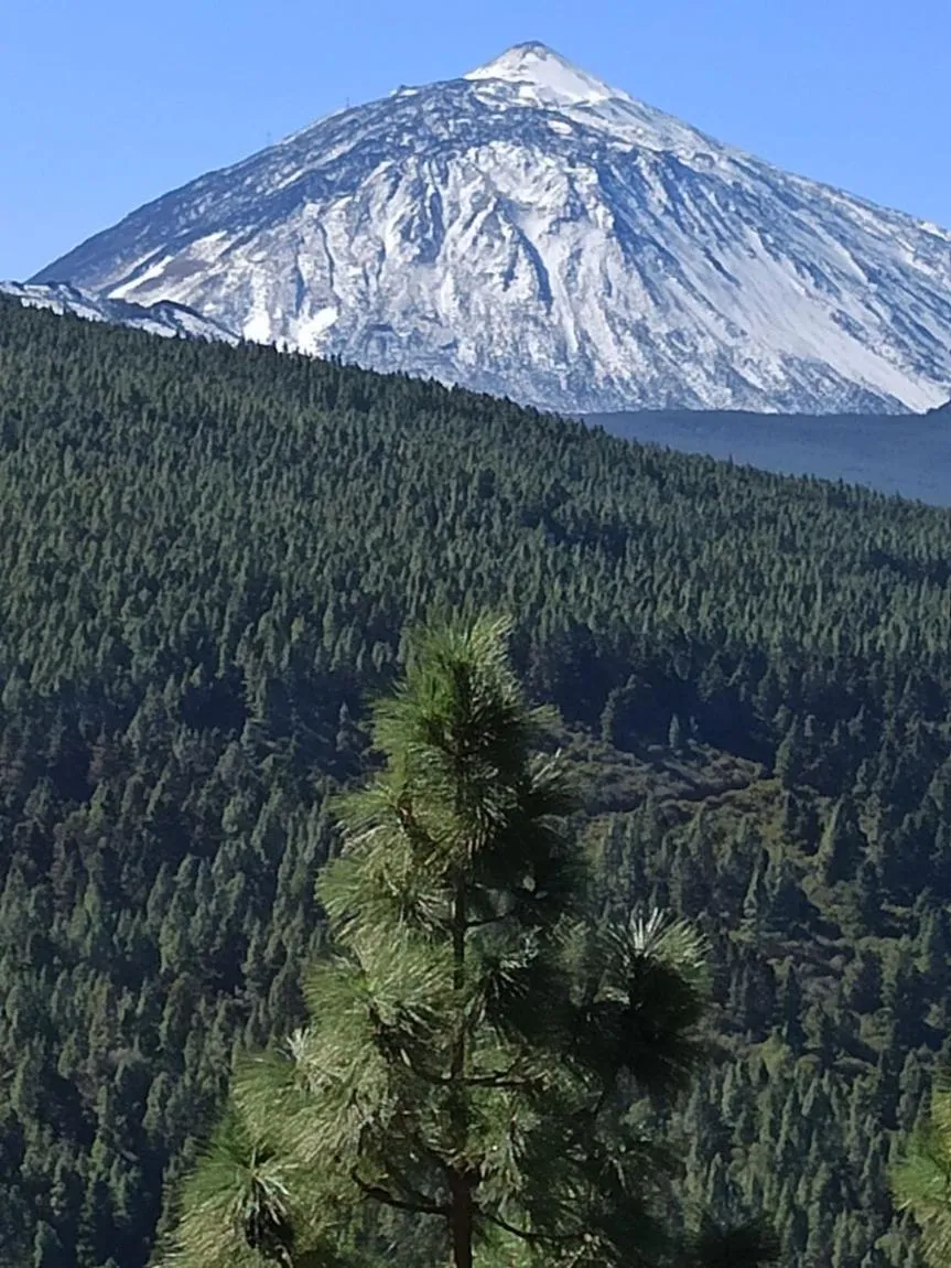 Hiking in Hostel Tenerife