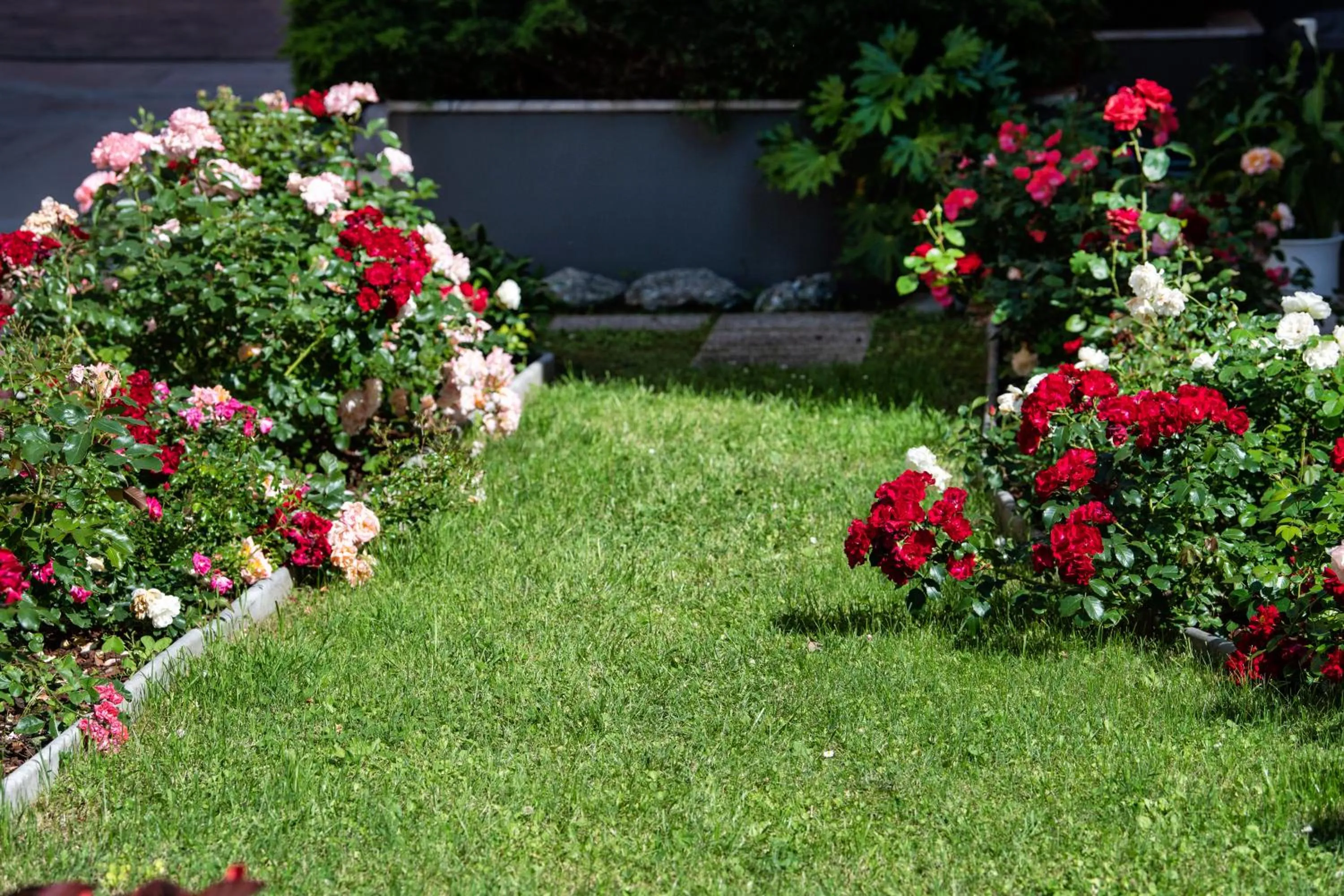 Garden in Hotel Torretta