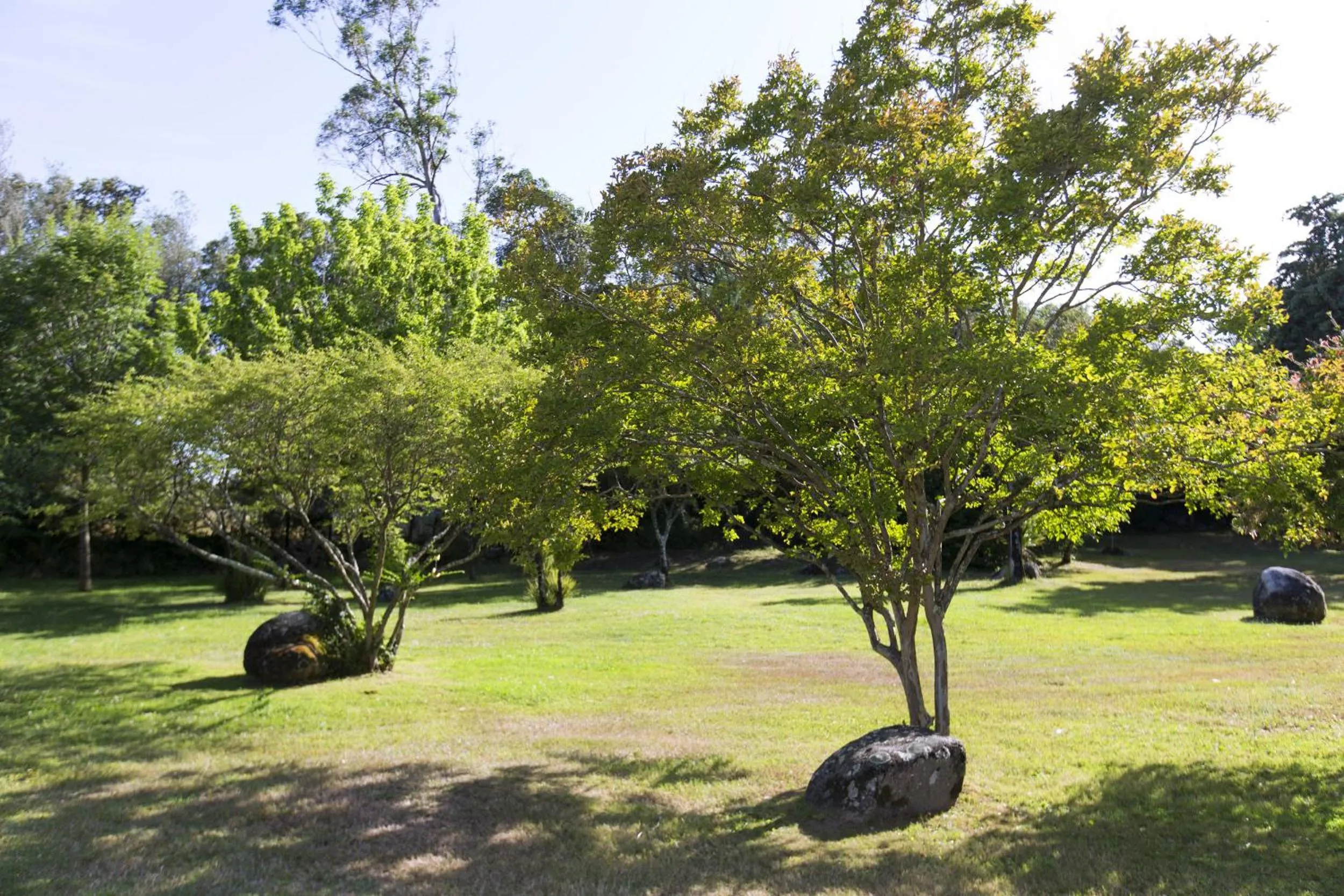 Natural landscape in San Giovanni