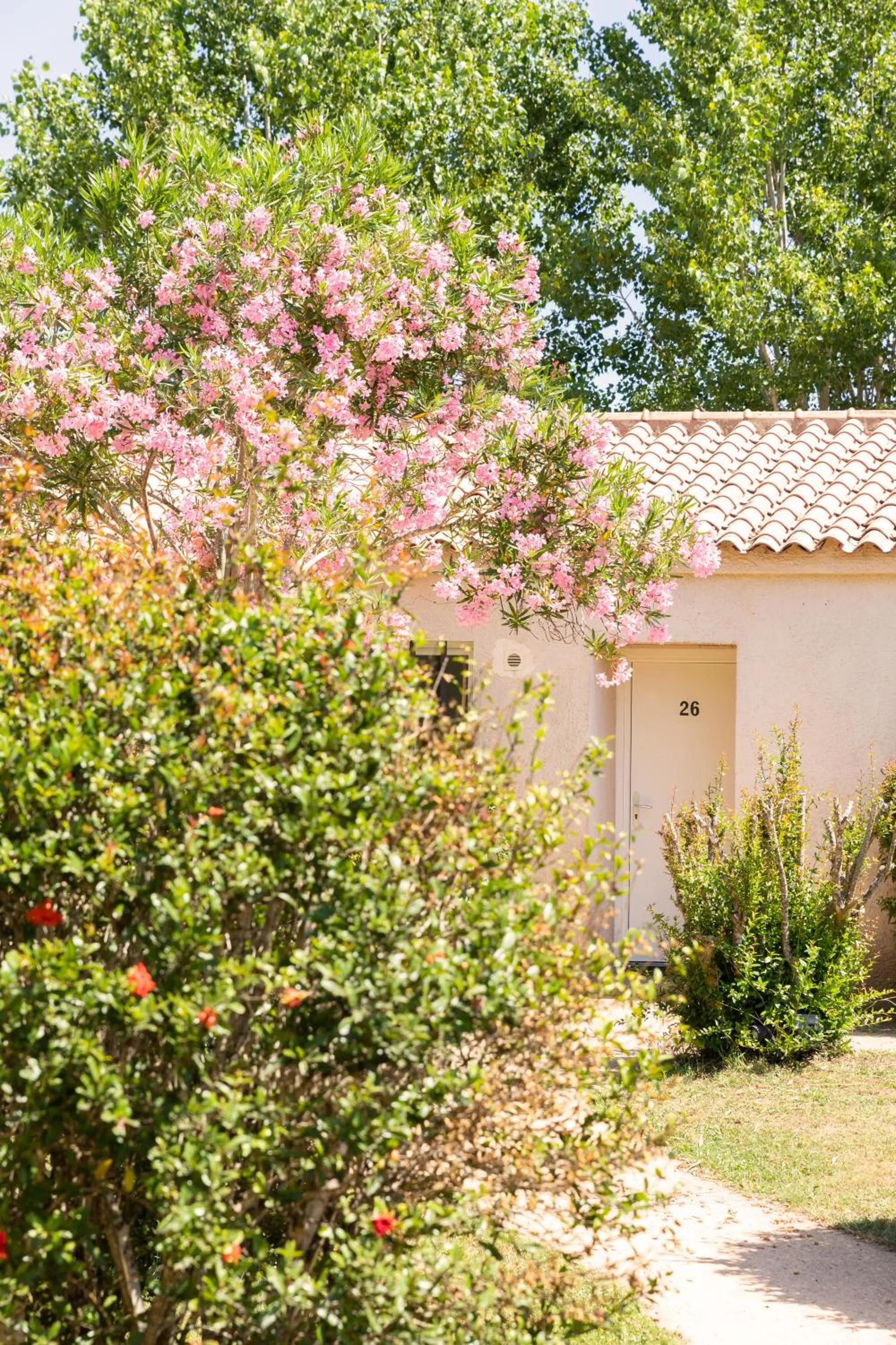 Garden in San Giovanni