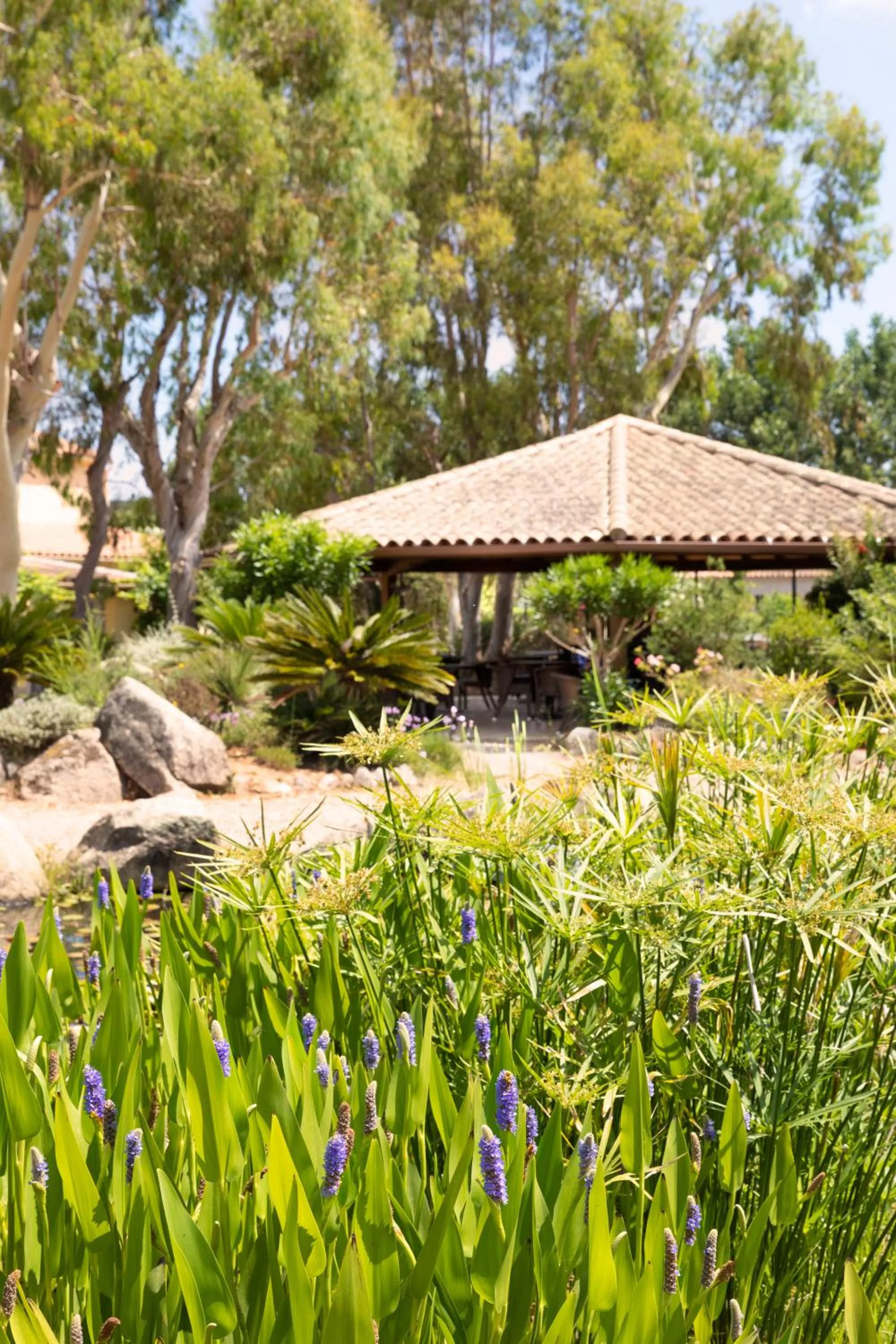 Garden in San Giovanni