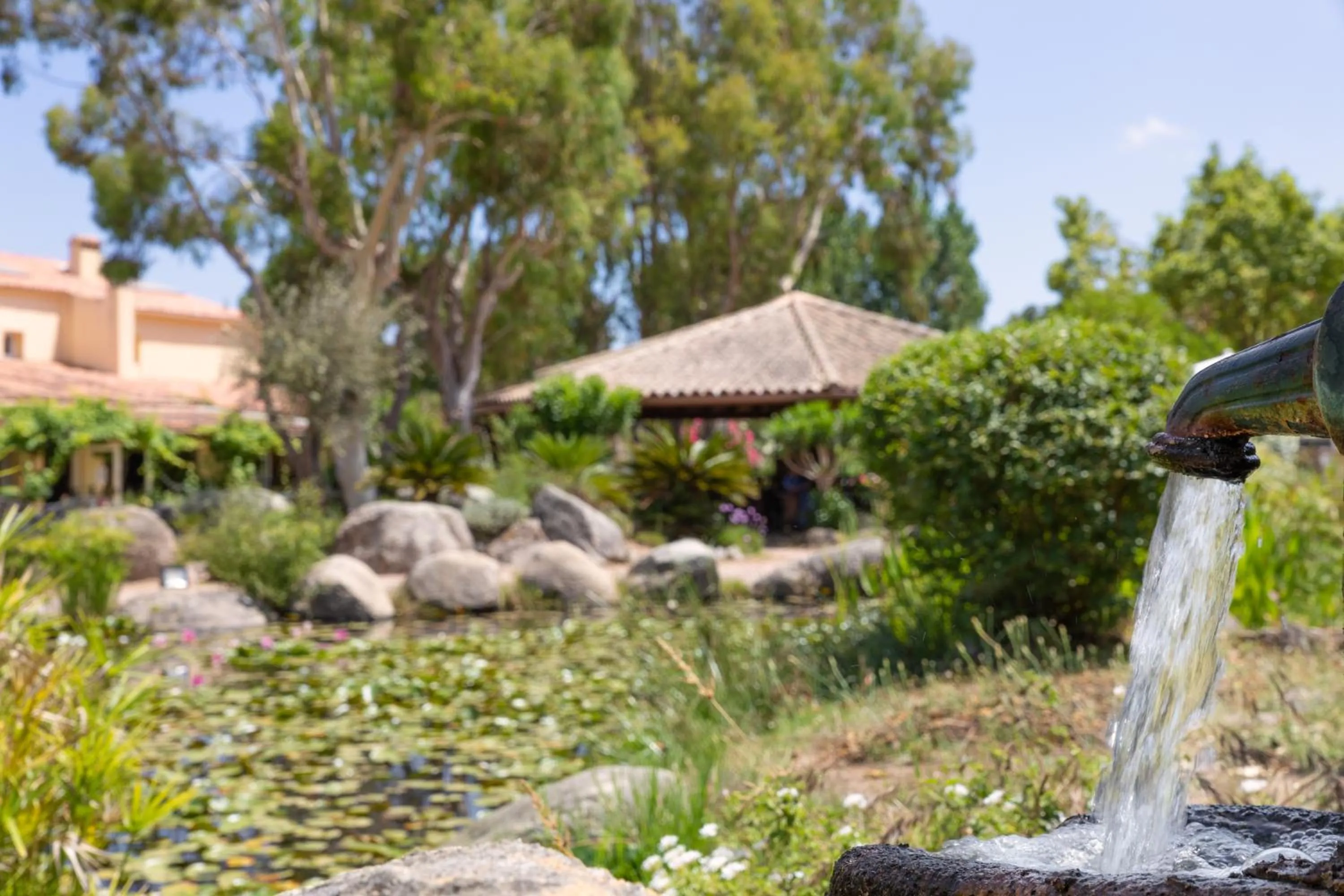 Garden in San Giovanni
