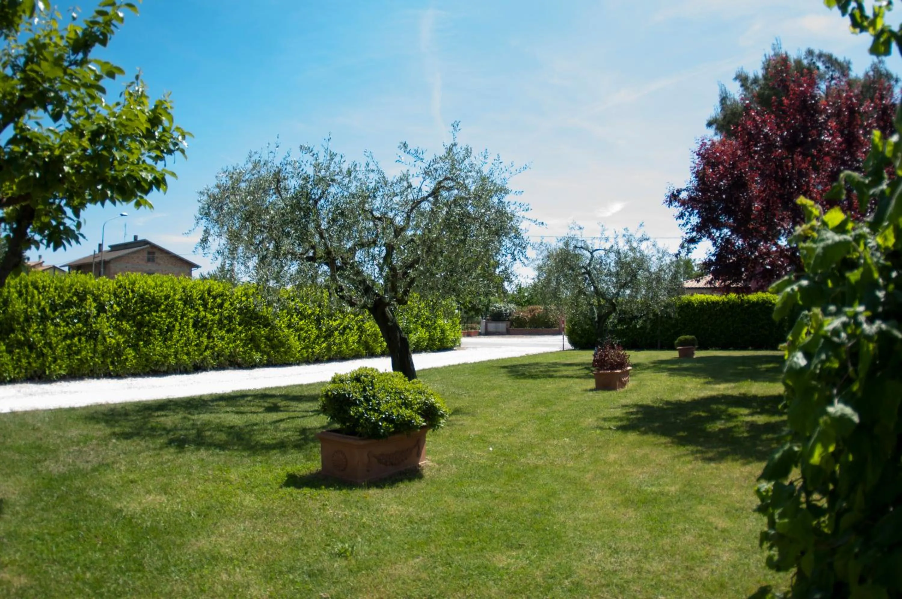 Garden in Rosa di Assisi