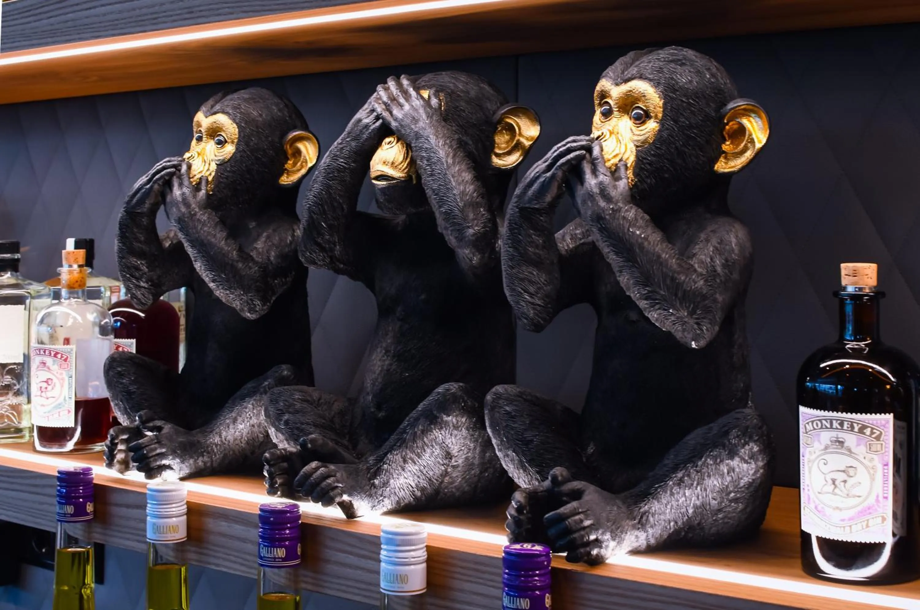 Lounge or bar in Meiser Design Hotel