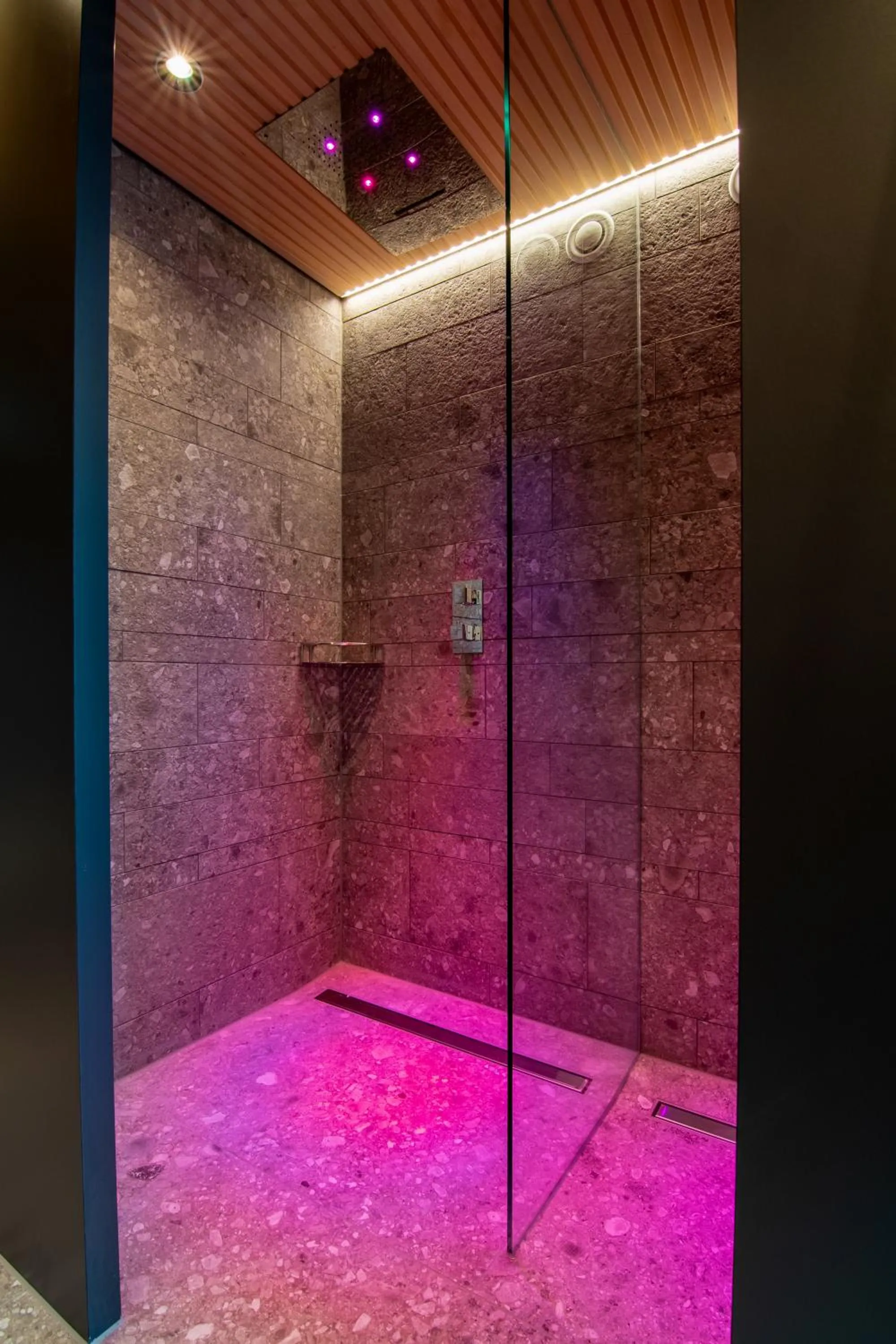 Sauna in Meiser Design Hotel