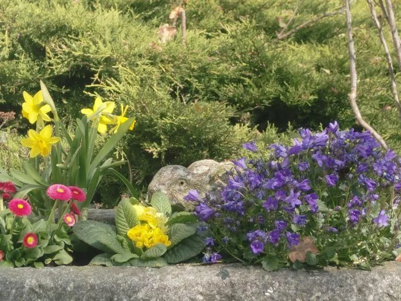 Garden in Hotel Spitze Warte