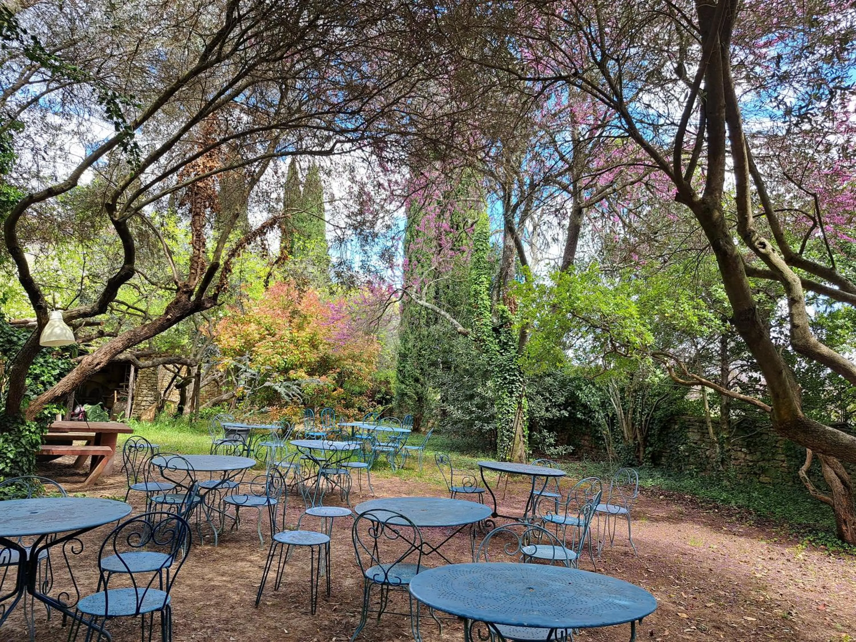 Garden in Le Mas du Lac
