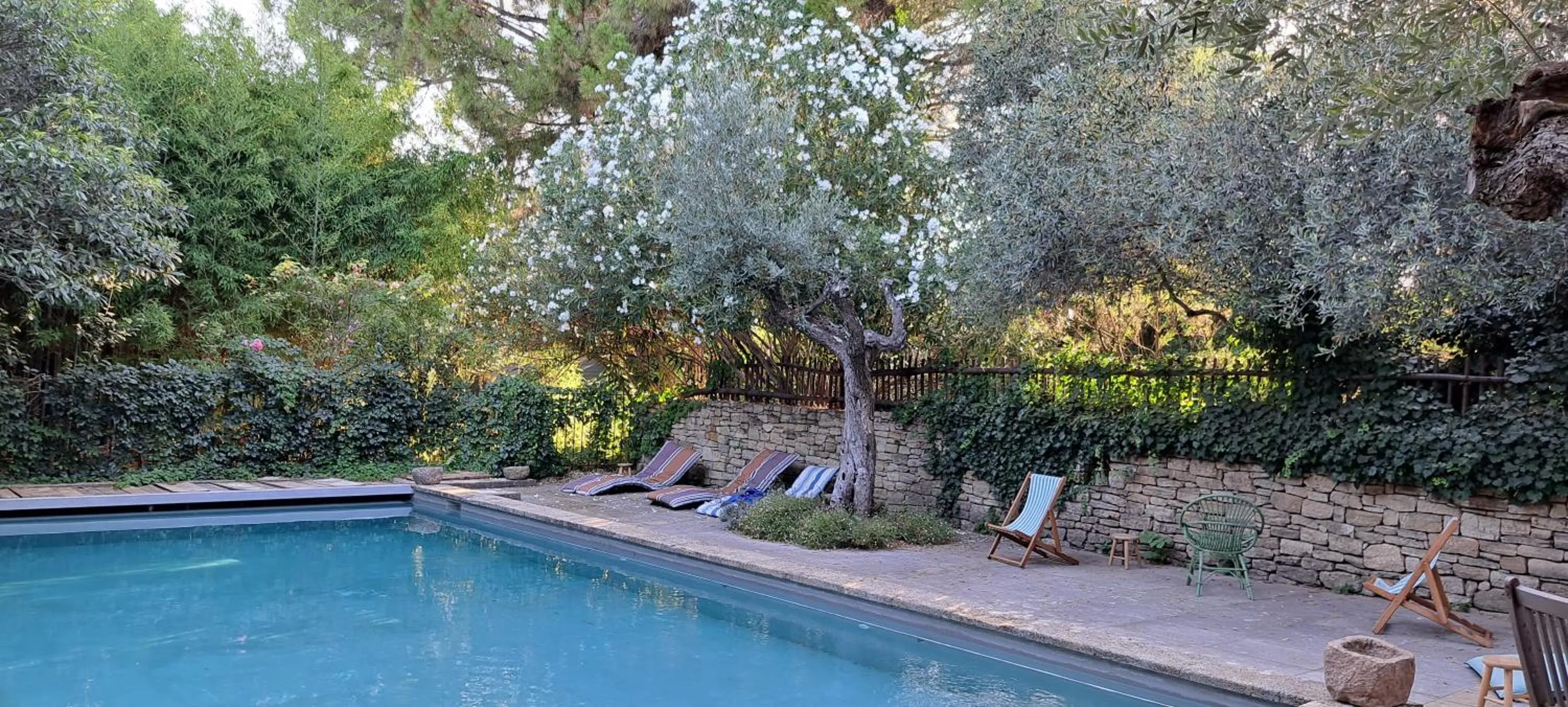 Swimming pool in Le Mas du Lac
