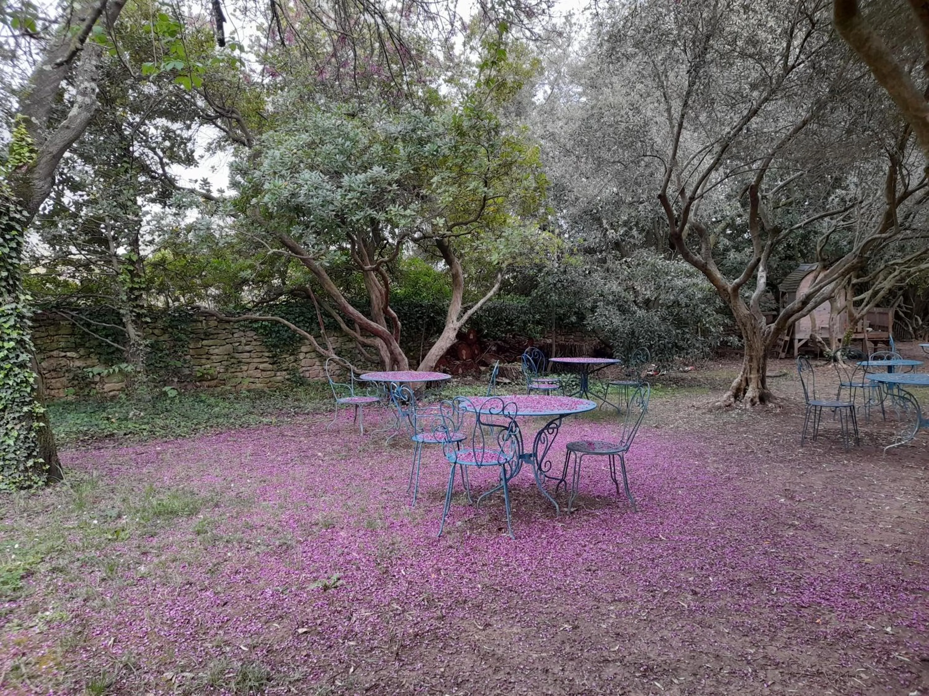 Garden in Le Mas du Lac