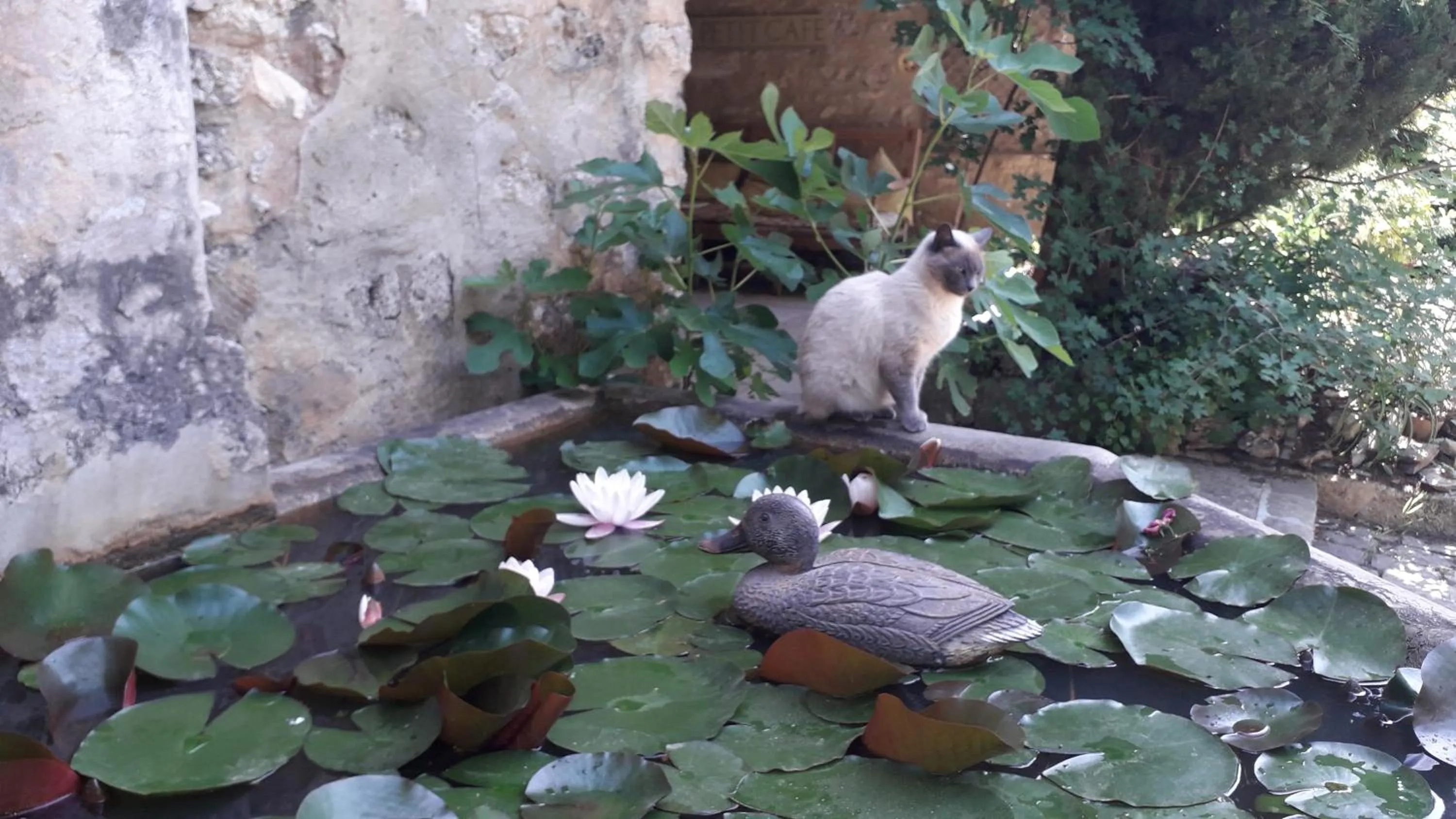 Property building in Le Mas du Lac