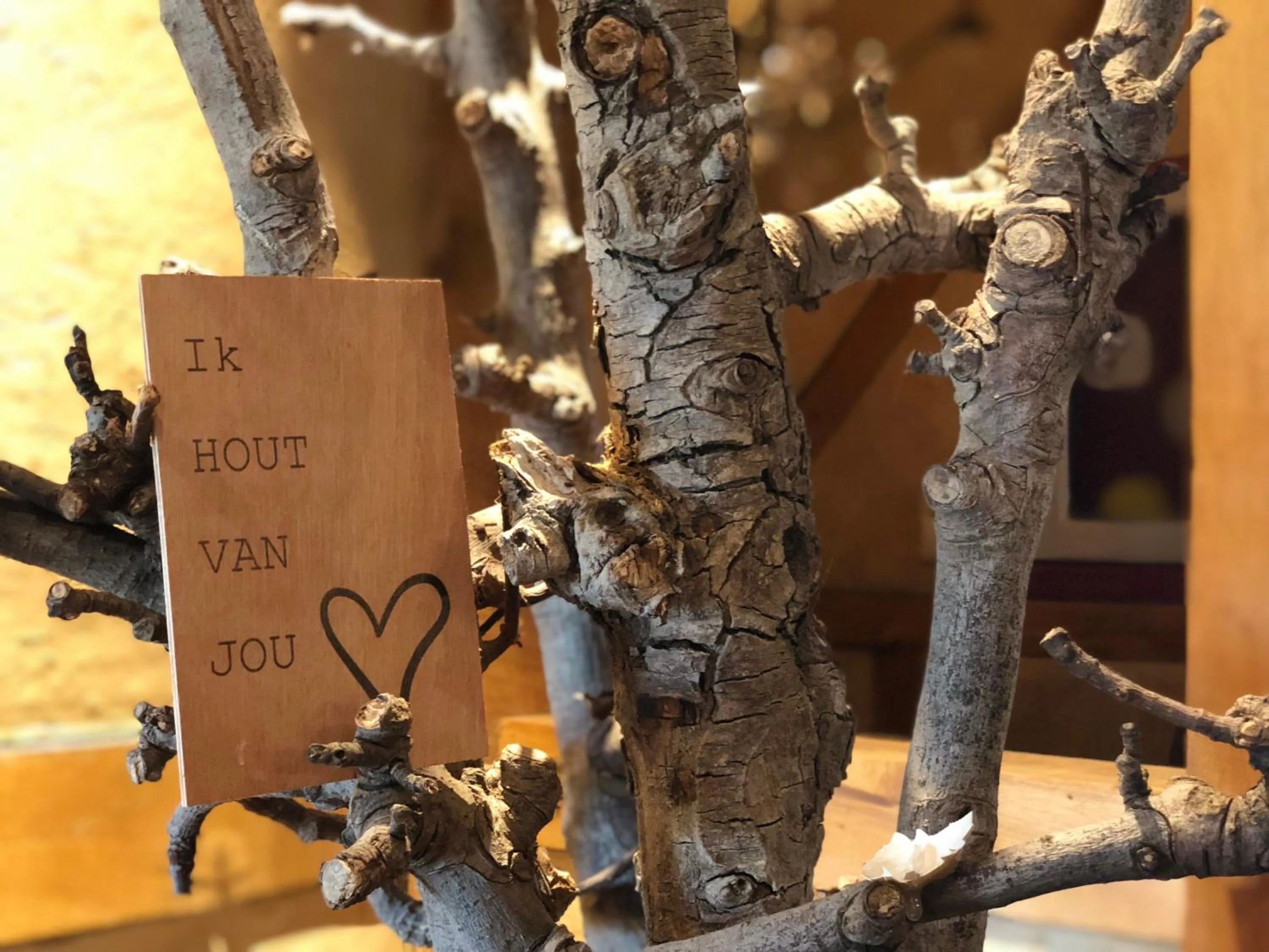 Lounge or bar in Hotel de Plank - alle kamers met airconditioning