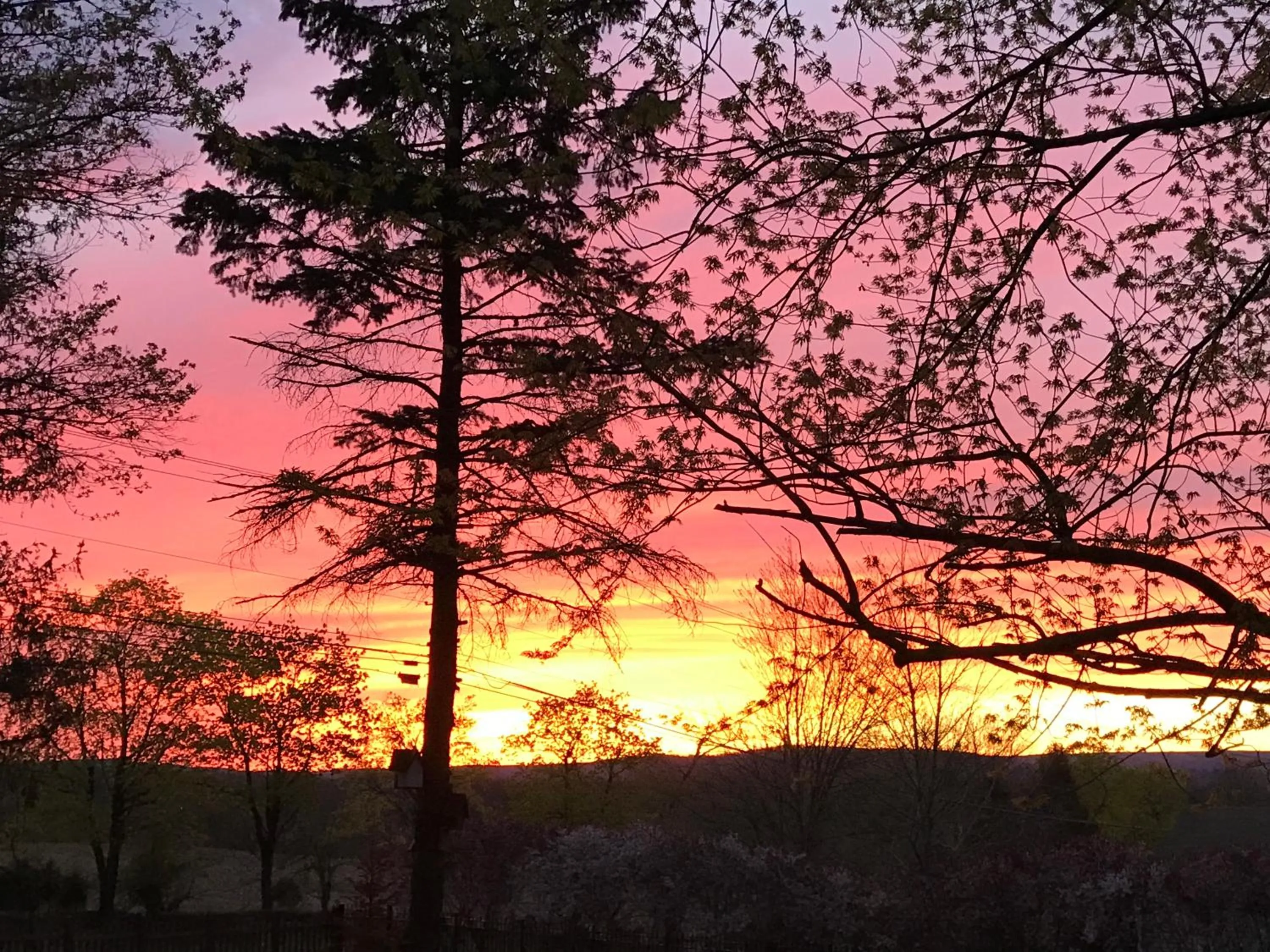 View (from property/room) in Carriage Stop Bed & Breakfast