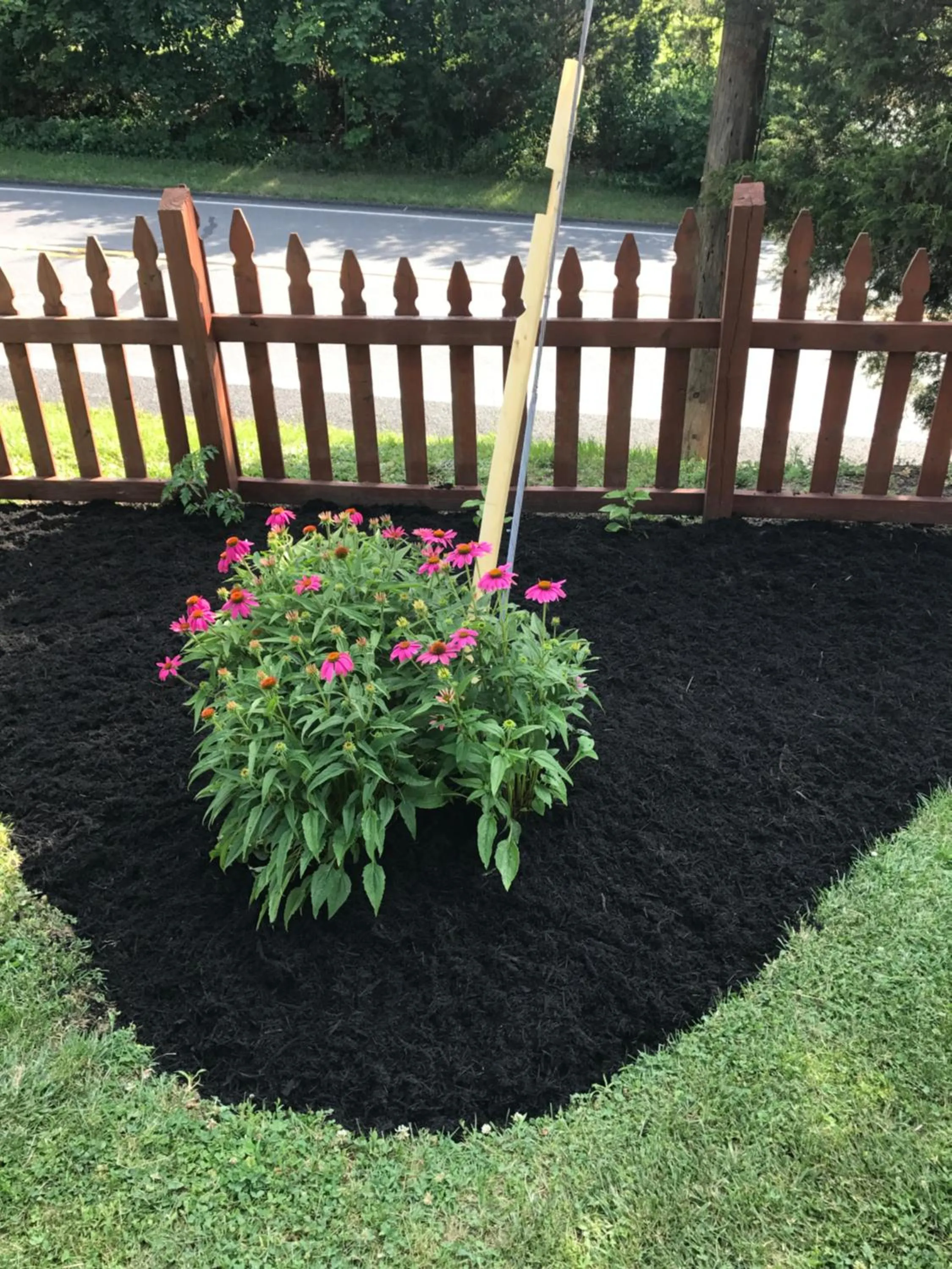 Garden in Carriage Stop Bed & Breakfast