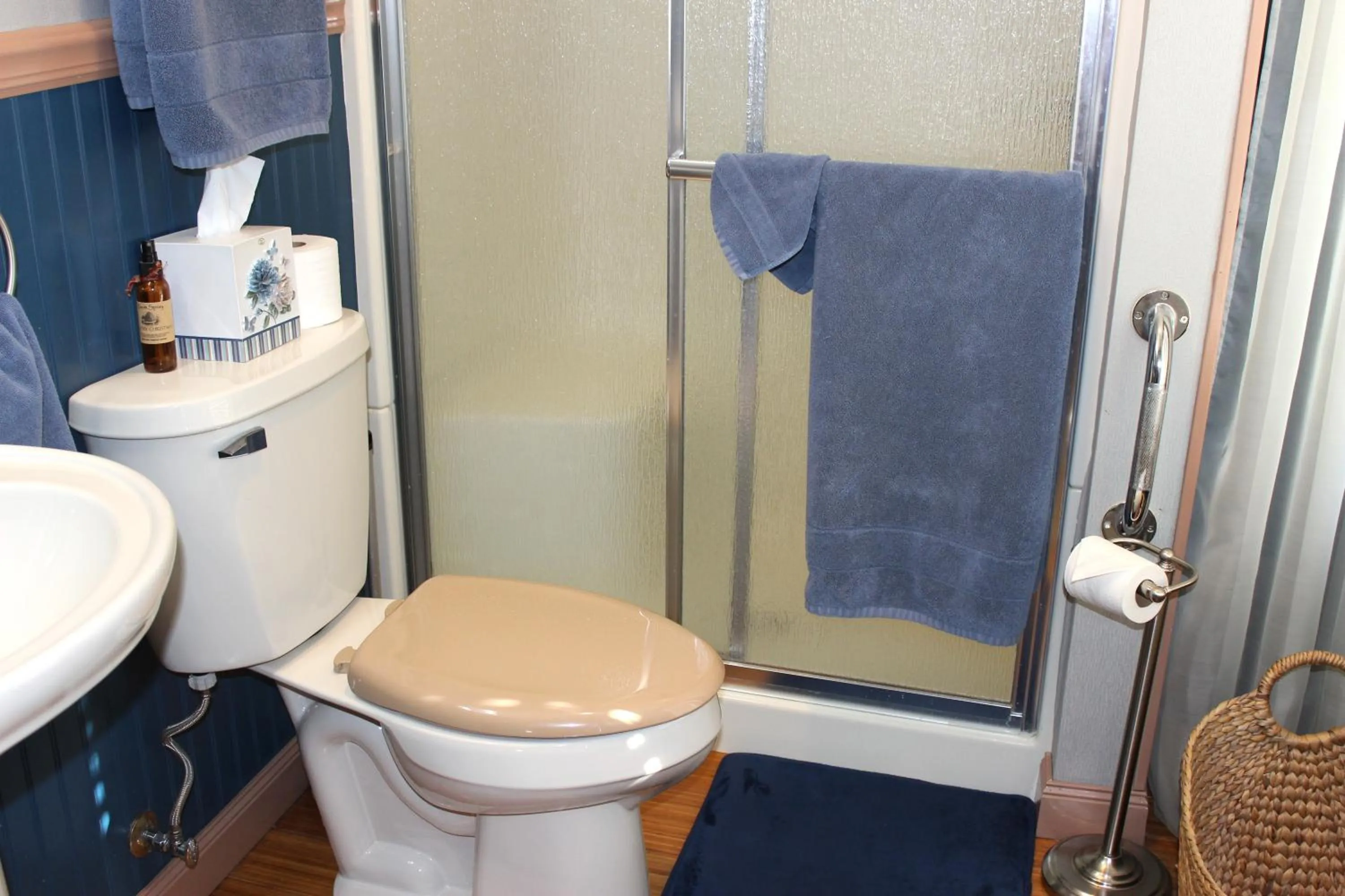 Shower in Carriage Stop Bed & Breakfast