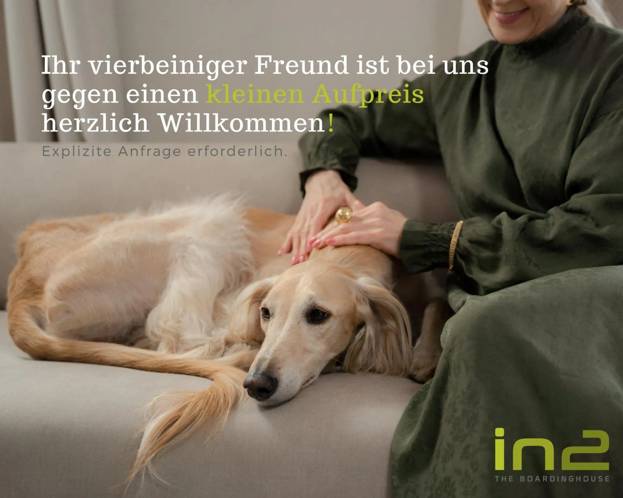 Pets in in2 the Boardinghouse