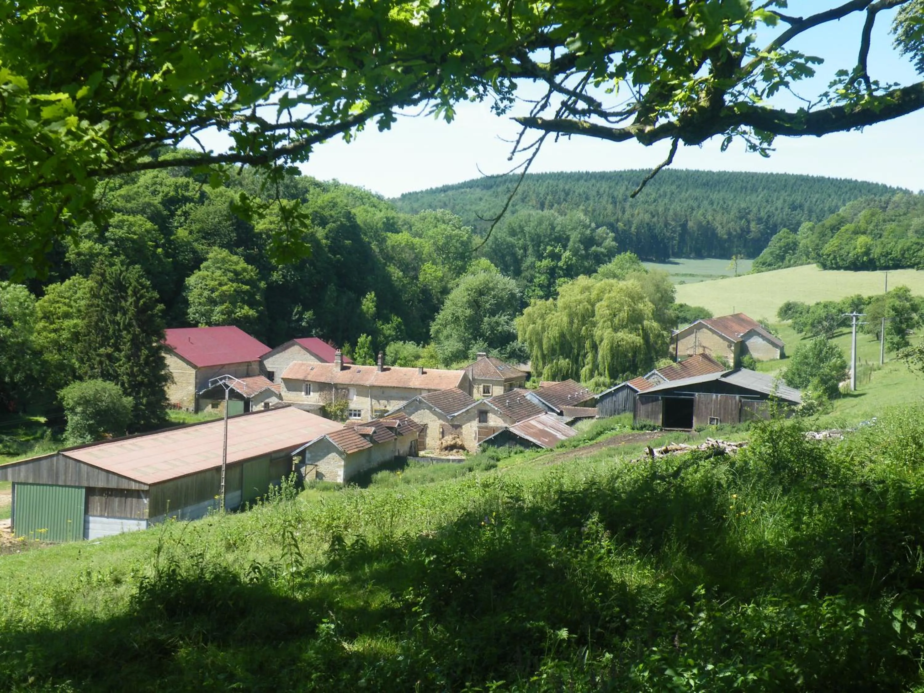 kotas-Esprit Nordique