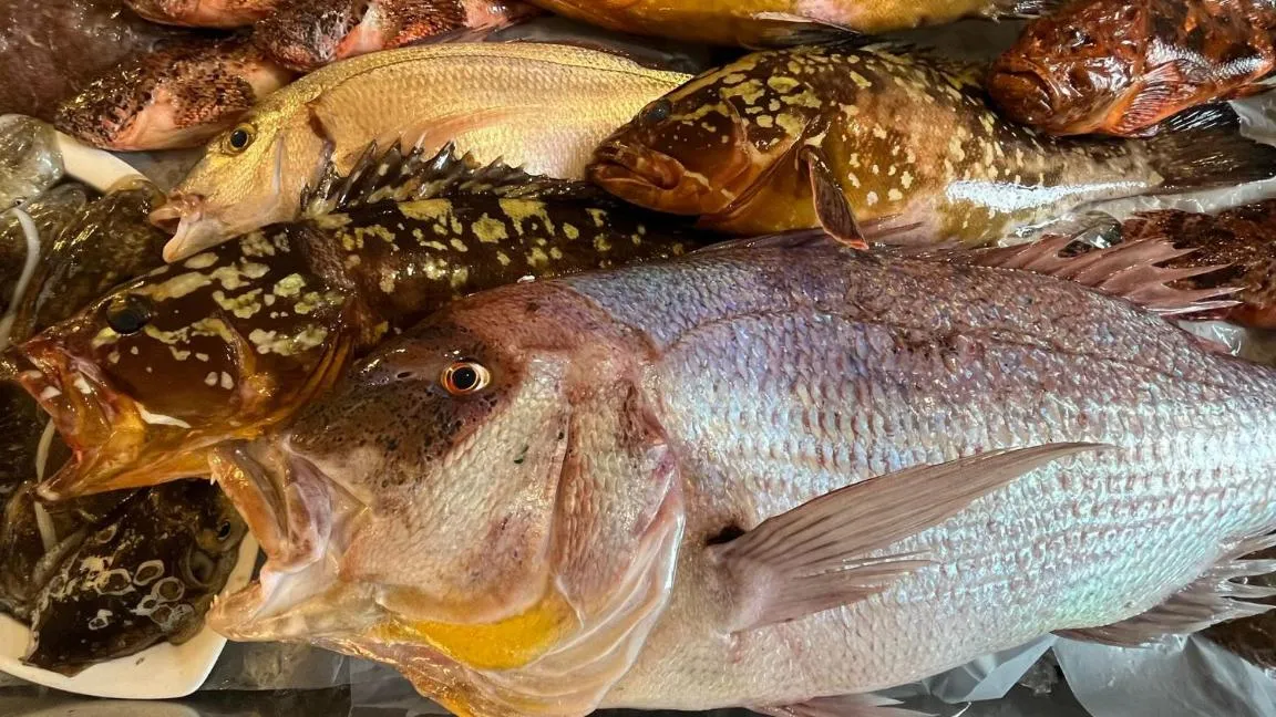 Food and drinks in Al Pescatore Hotel & Restaurant