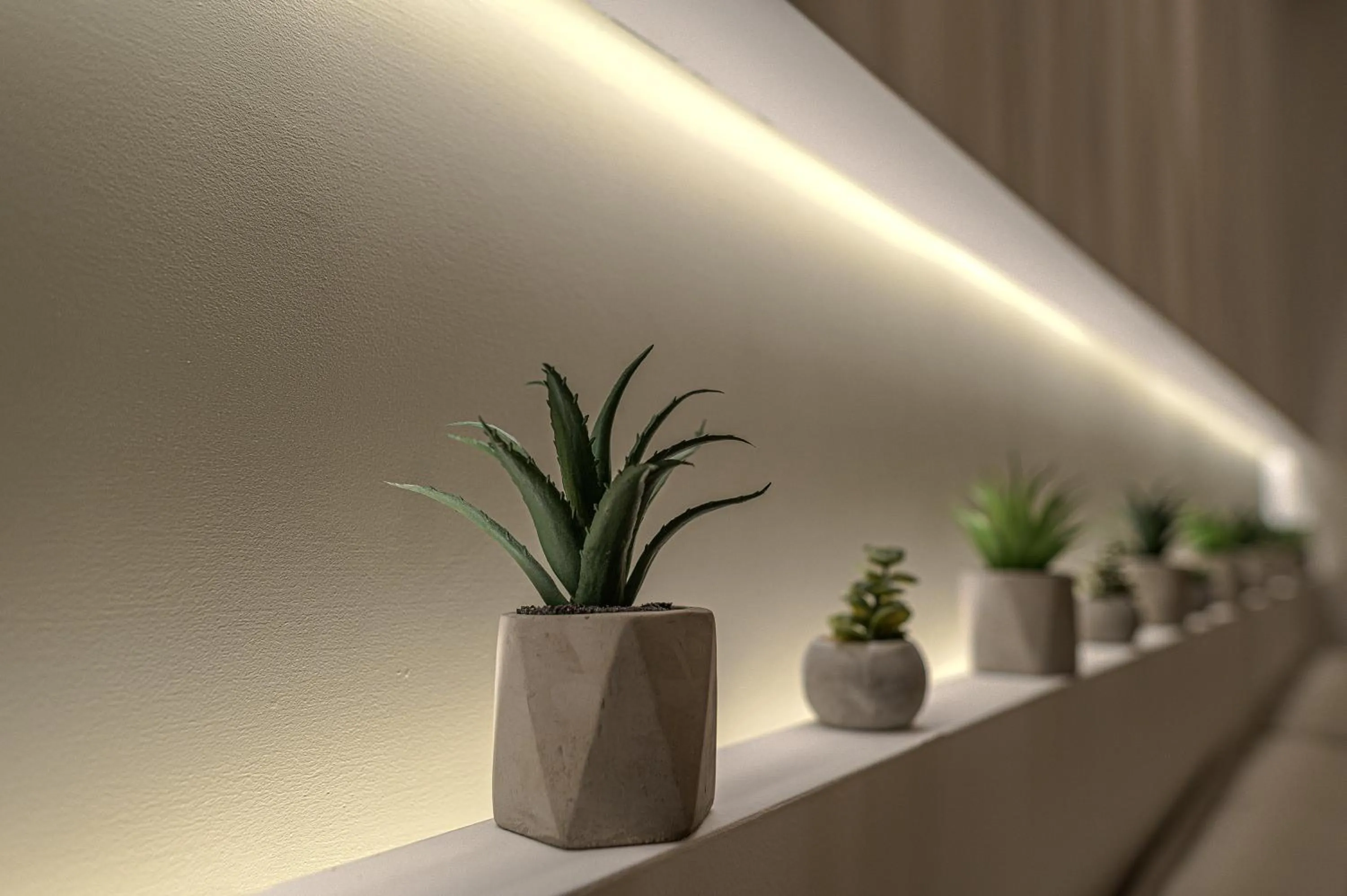 Eleni Zirganou Studios & Apartments
