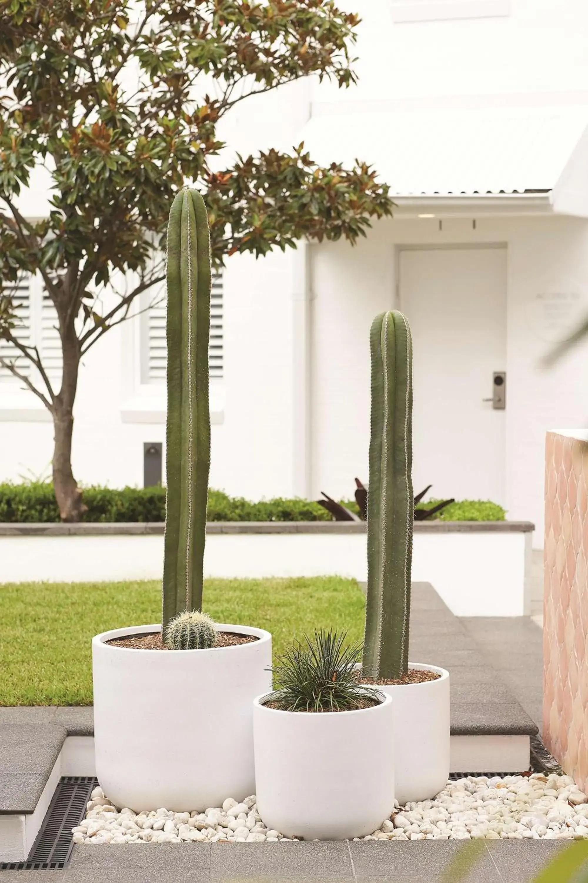 Property building in Adina Apartment Hotel Chippendale Property building in Adina Apartment Hotel Chippendale