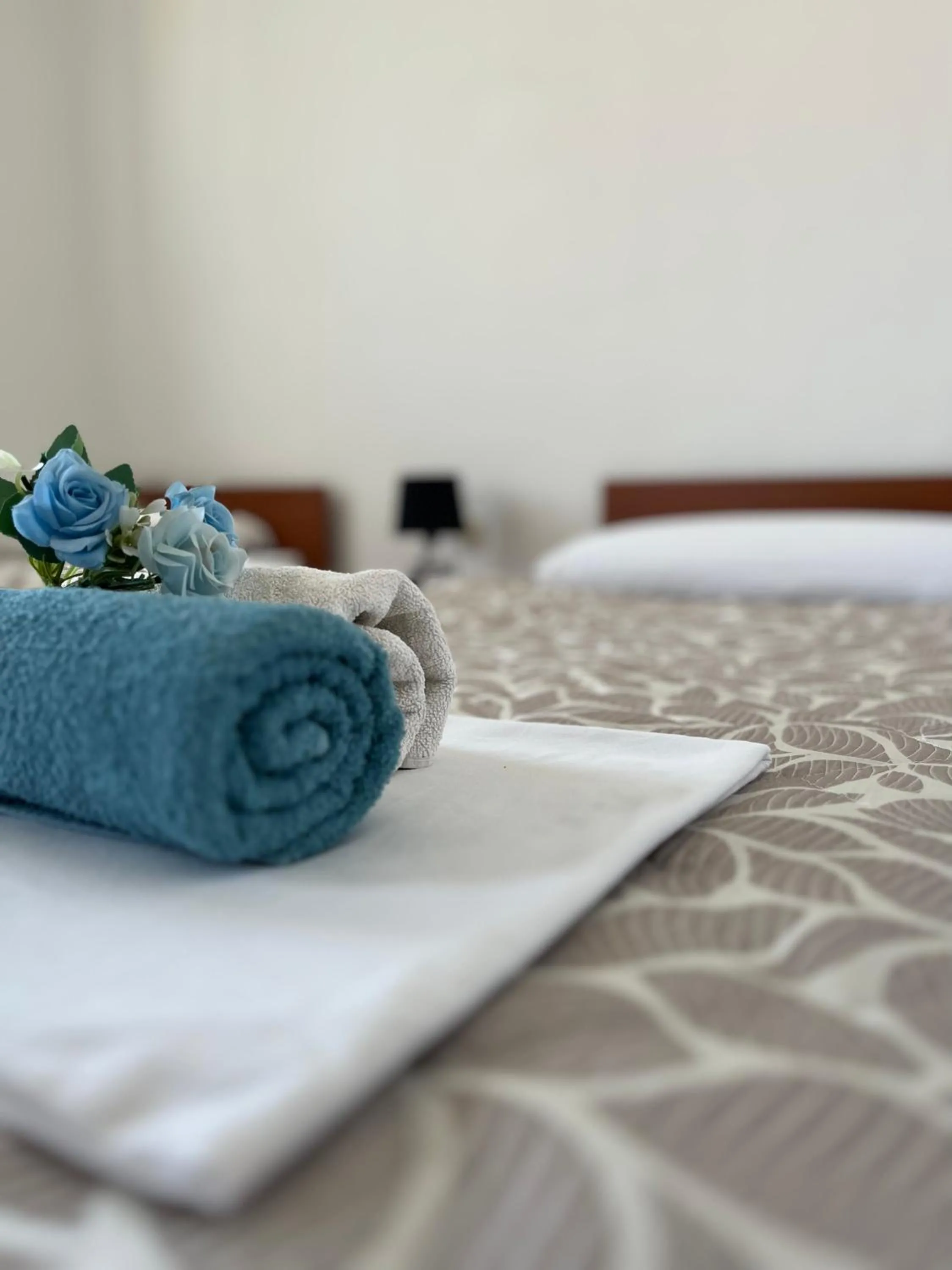 Comfort Twin Room in Pansion Alfa