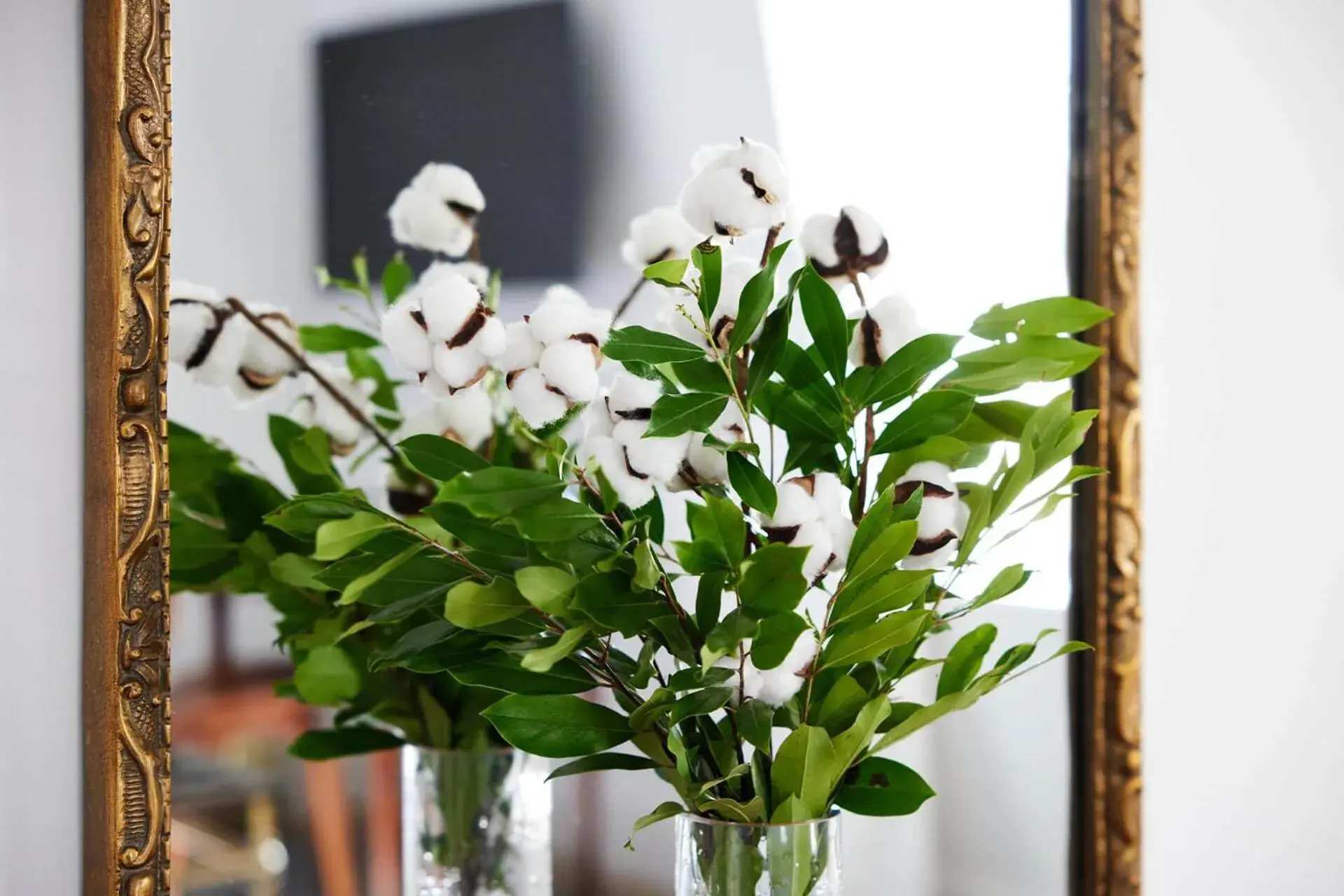 Junior Suite with Pool View in The Francis House Junior Suite with Pool View in The Francis House