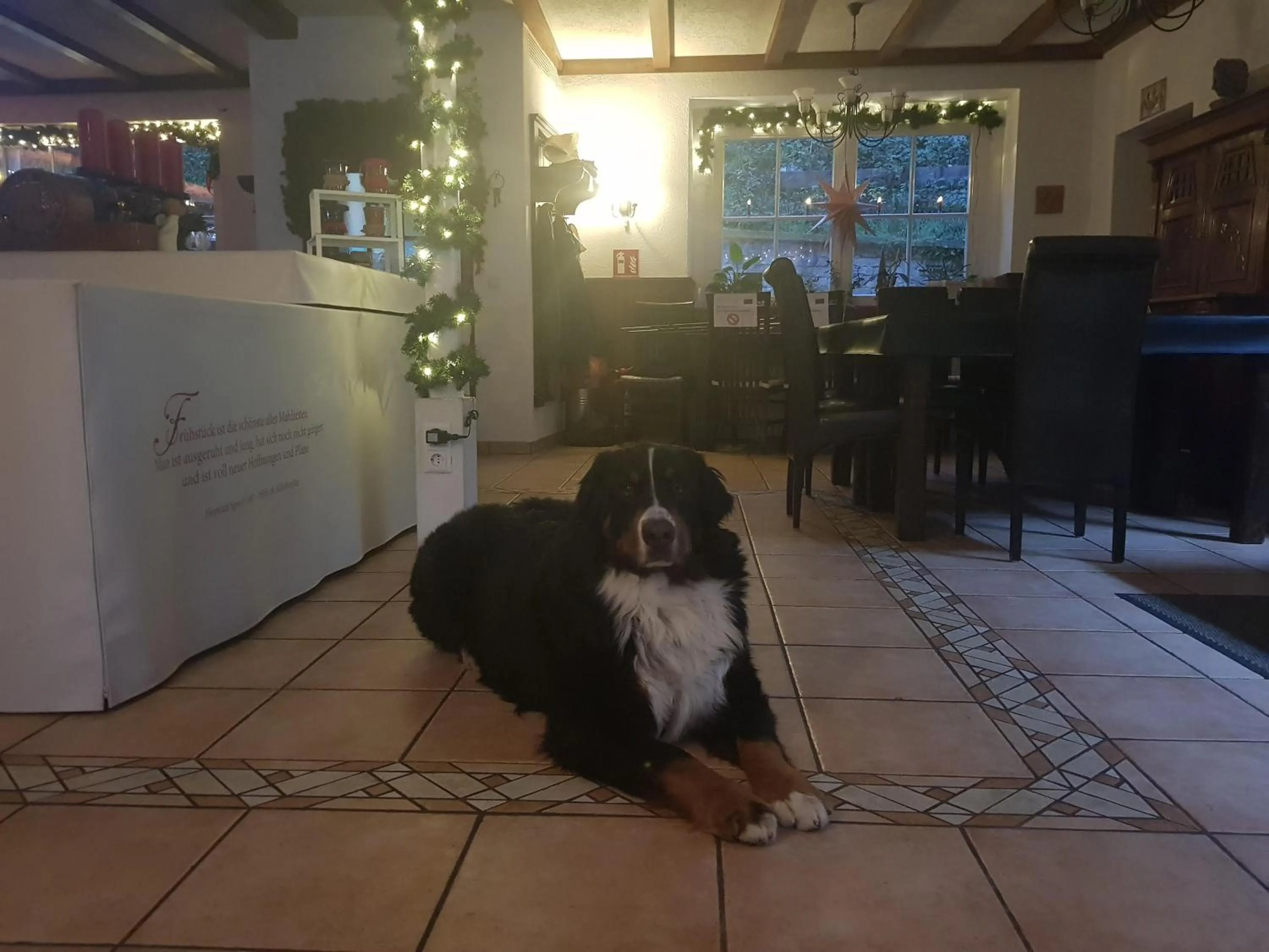 Banquet/Function facilities in Hotel Herberge zur Traube