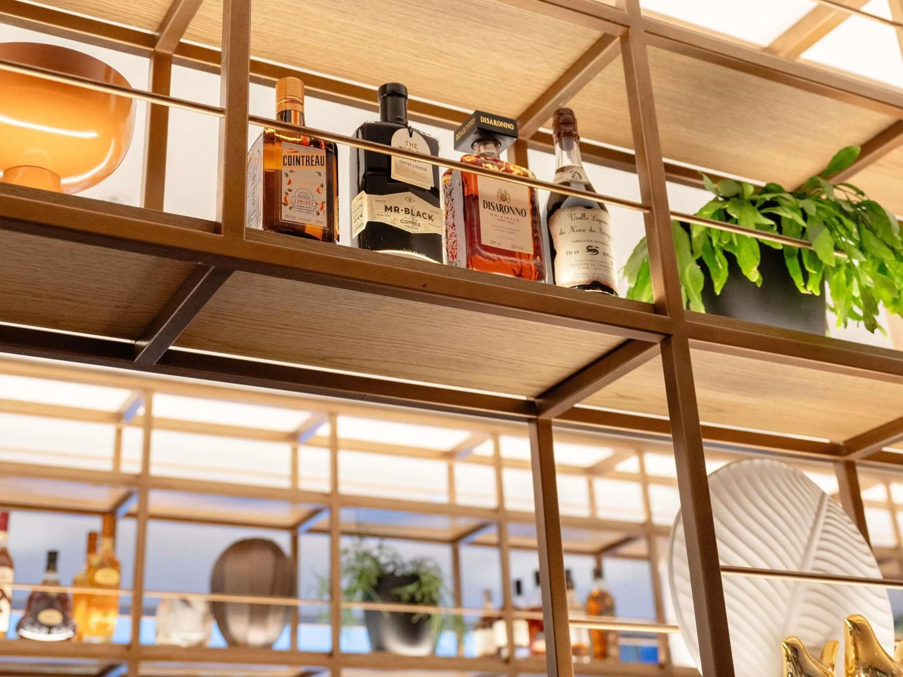 Lounge or bar in Novotel Sydney City Centre