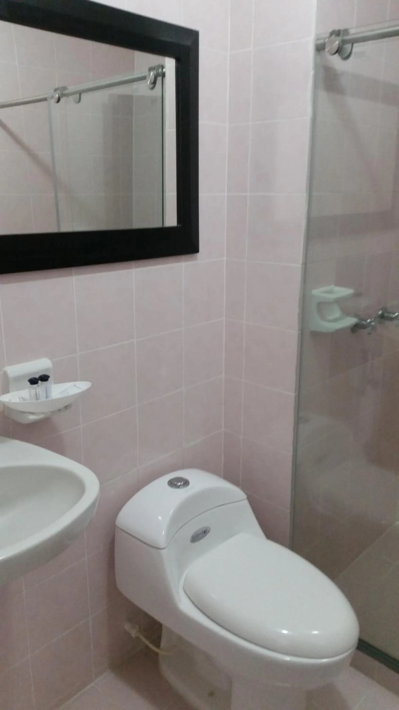 Decorative detail, Bathroom in Hotel Yuldama Rodadero Inn