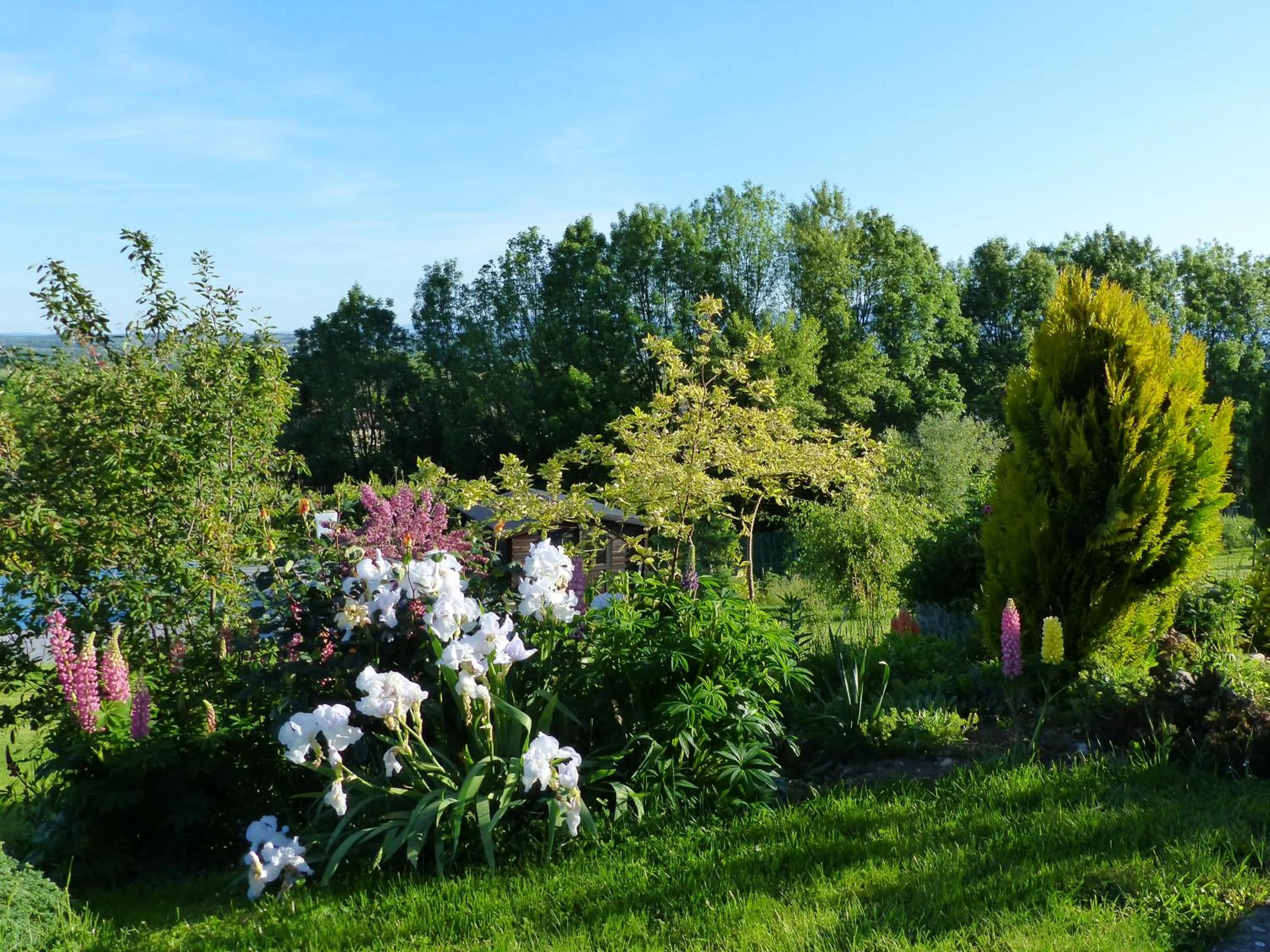 Garden view in Les Enselmes