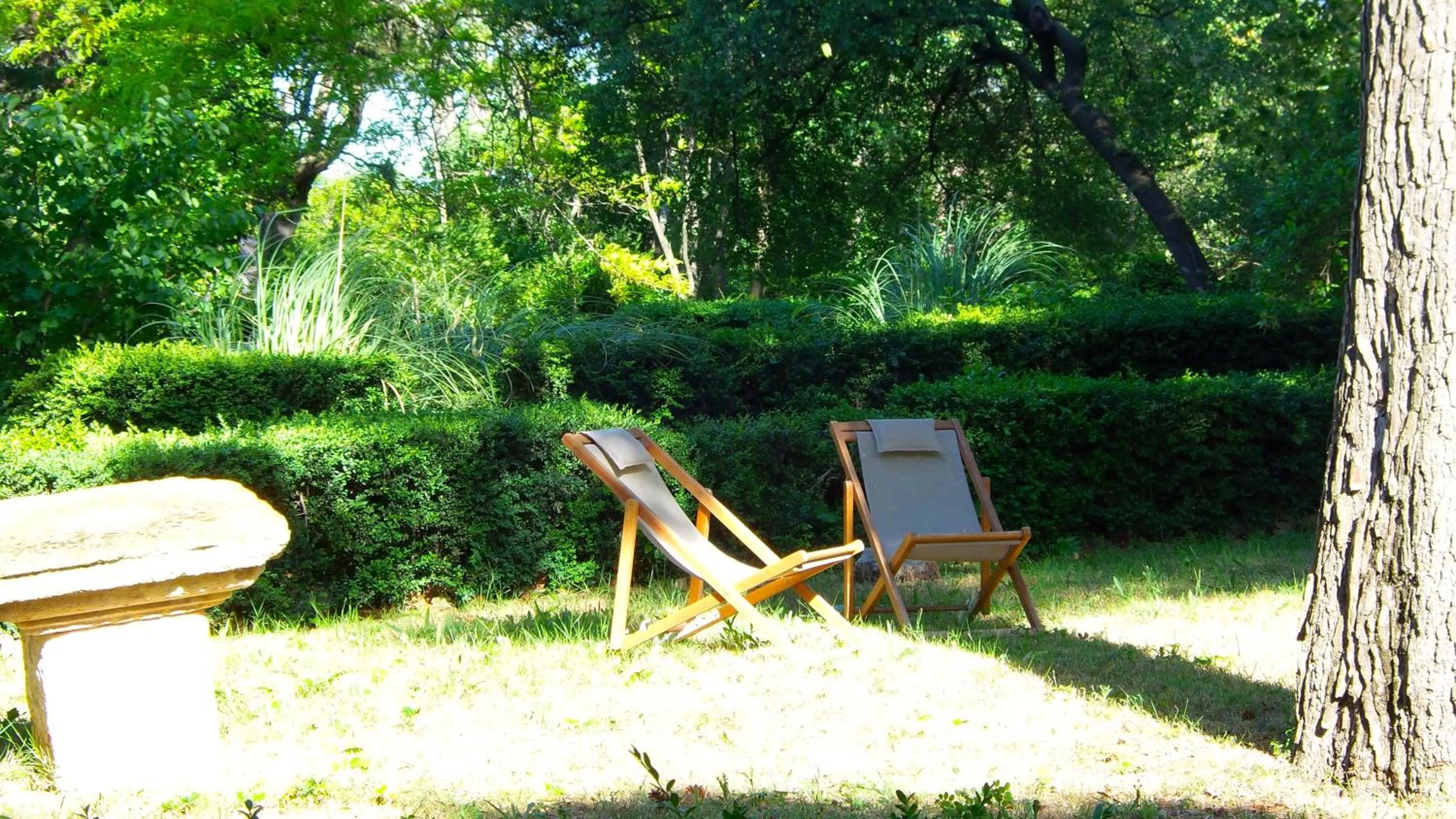 Garden view in Chateau Le Vergel Authenac