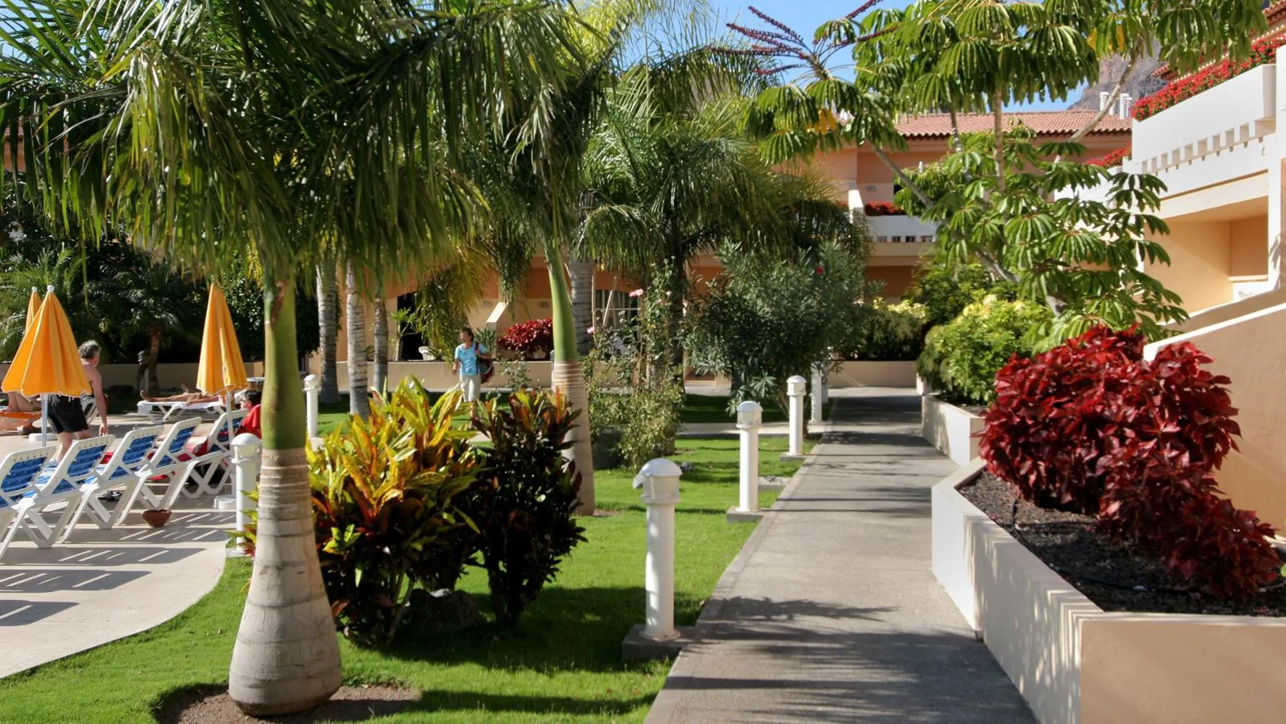 Garden in Apartamentos Jardín del Conde