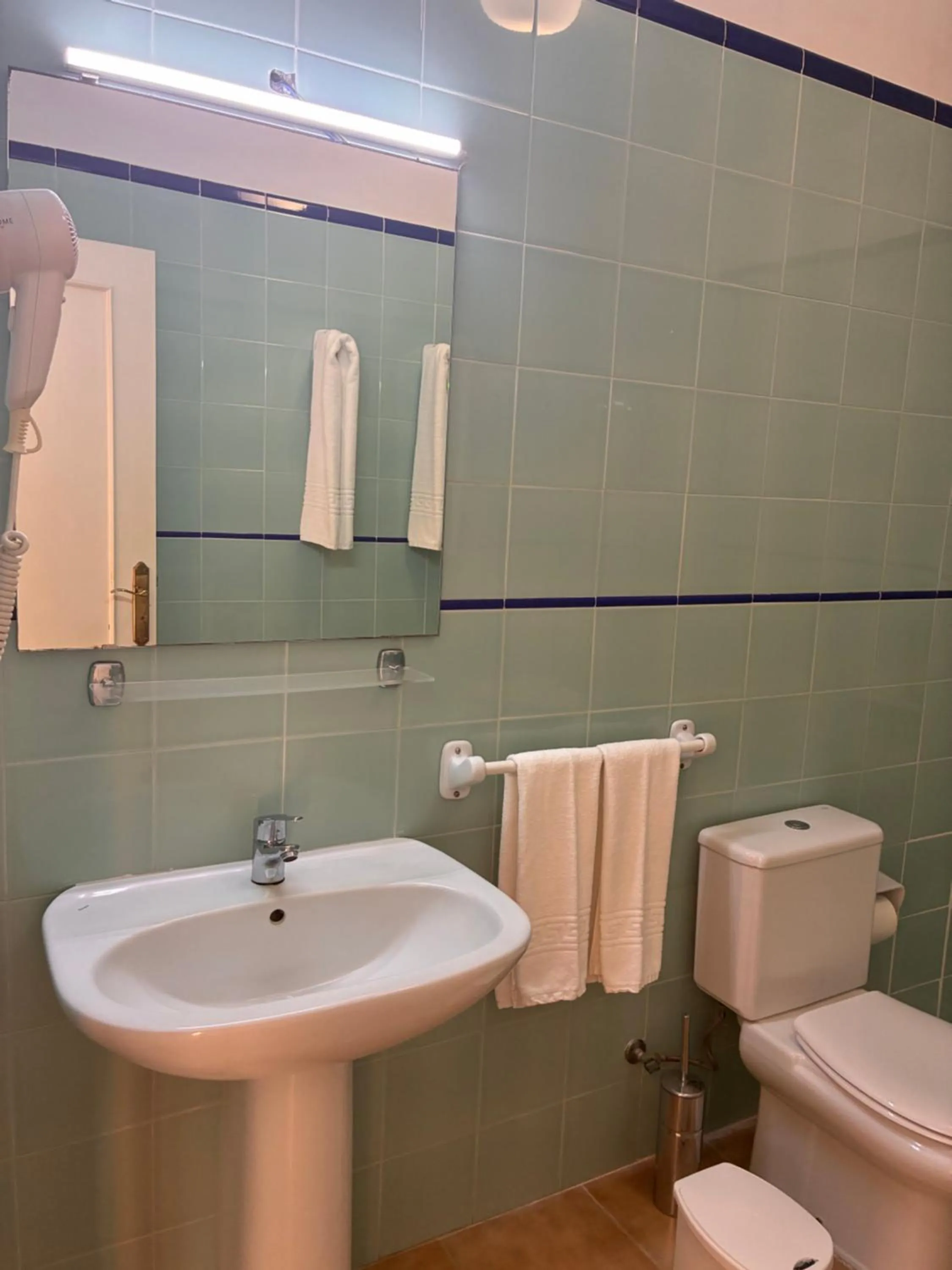 Shower in Apartamentos Jardín del Conde