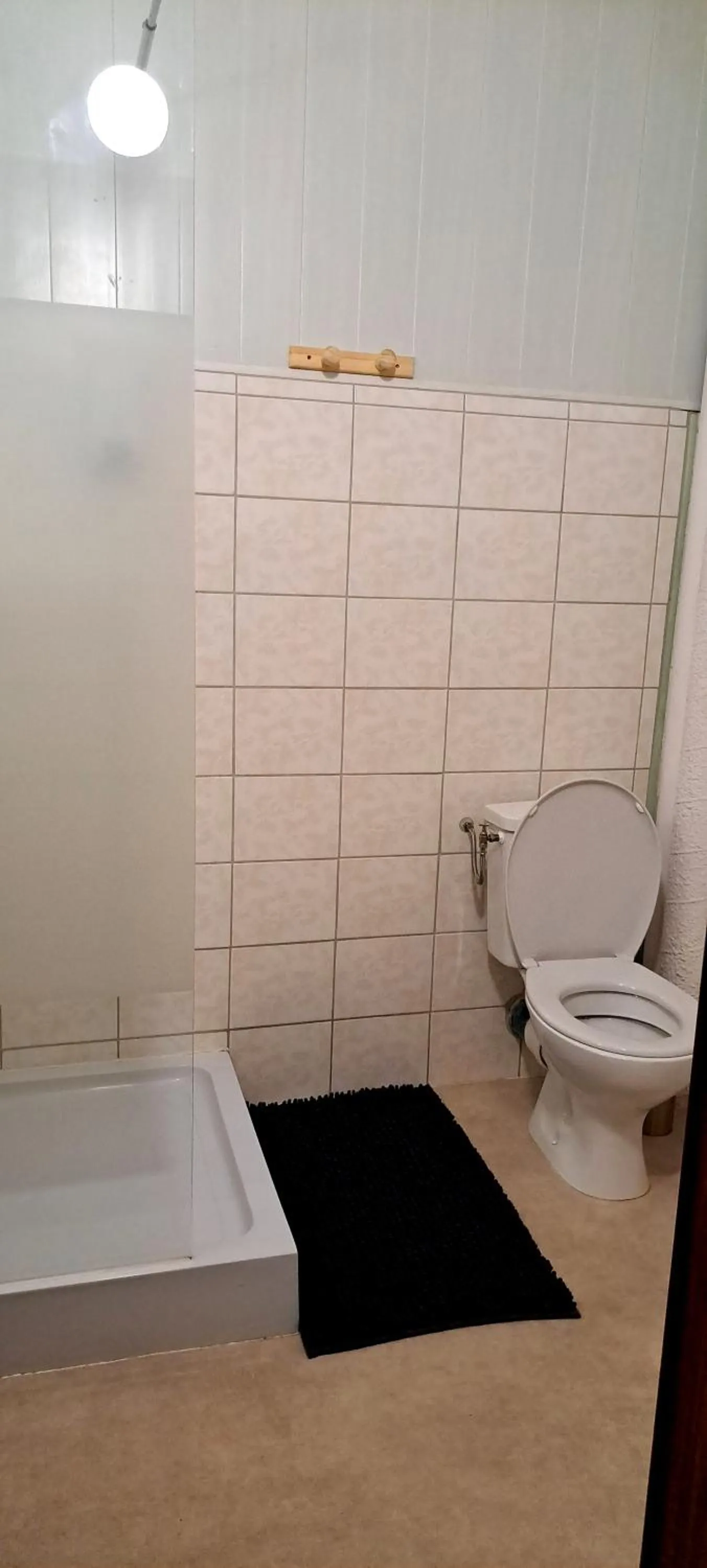 Toilet in Hôtel Restaurant Les Alizes Loriol Le Pouzin