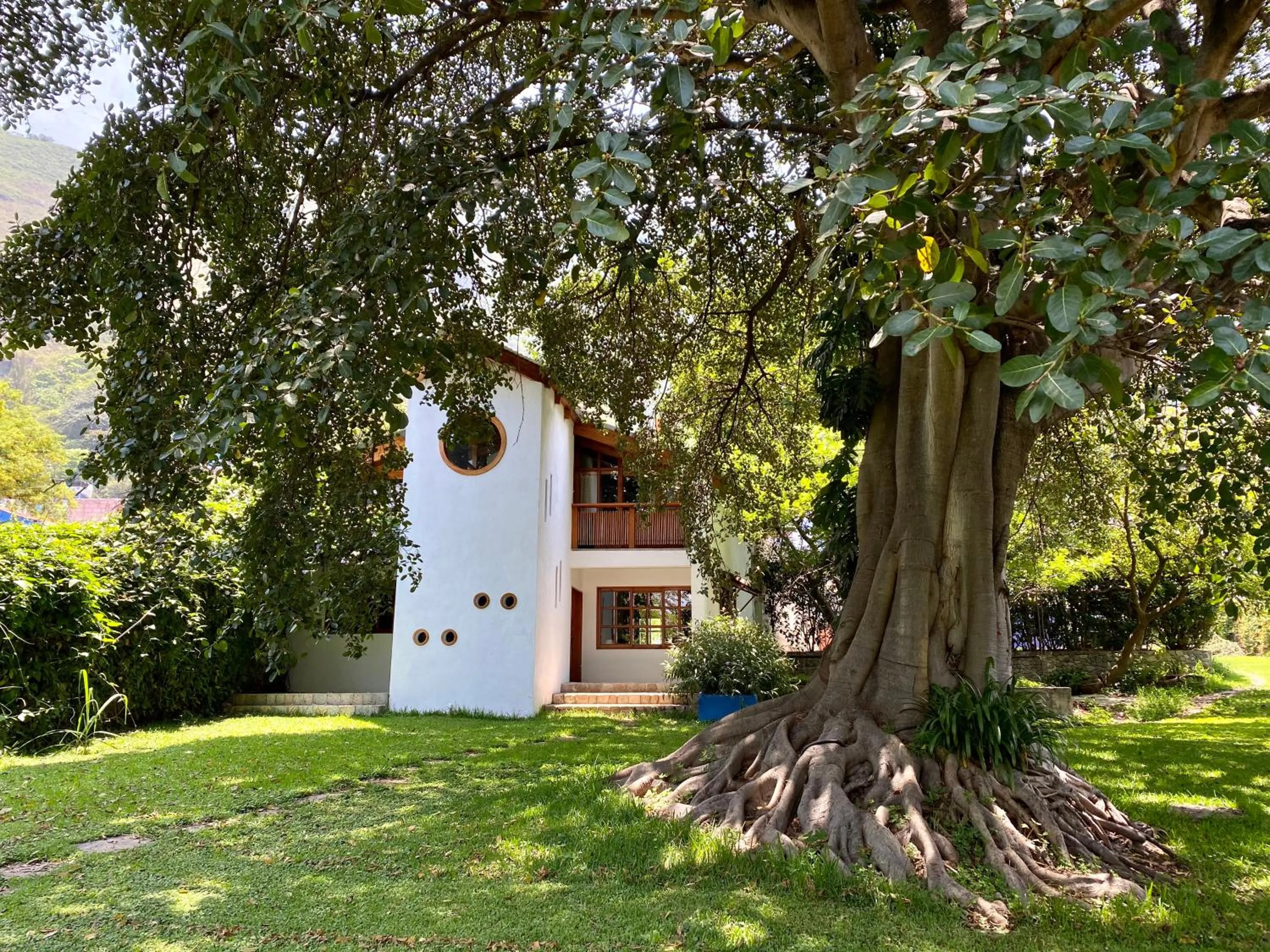 Garden in Villa Santa Catarina