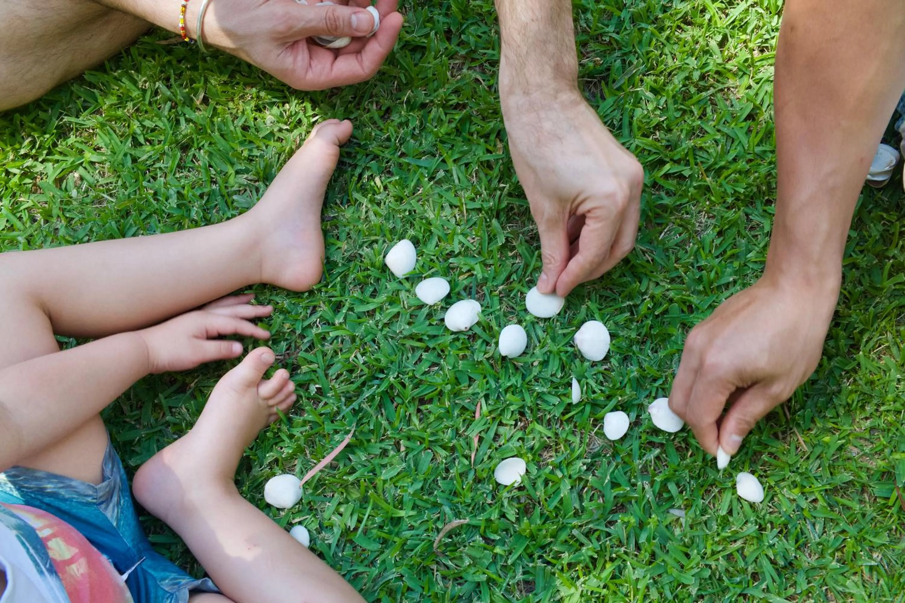 Garden in Broadwater Resort WA Tourism Awards 2025 Gold Winner