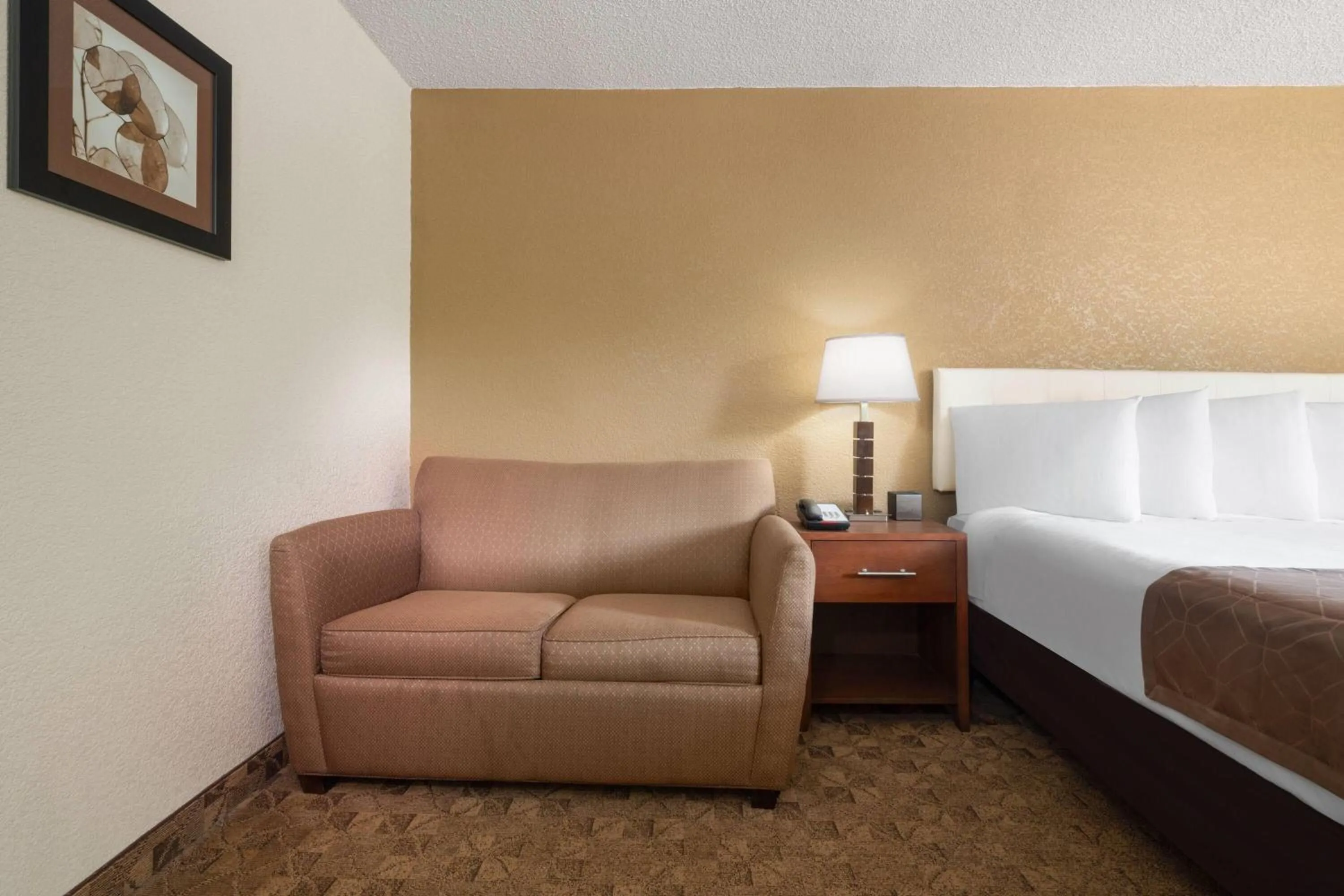 Photo of the whole room, Bed in Village Inn Clemmons-Winston Salem, Trademark by Wyndham