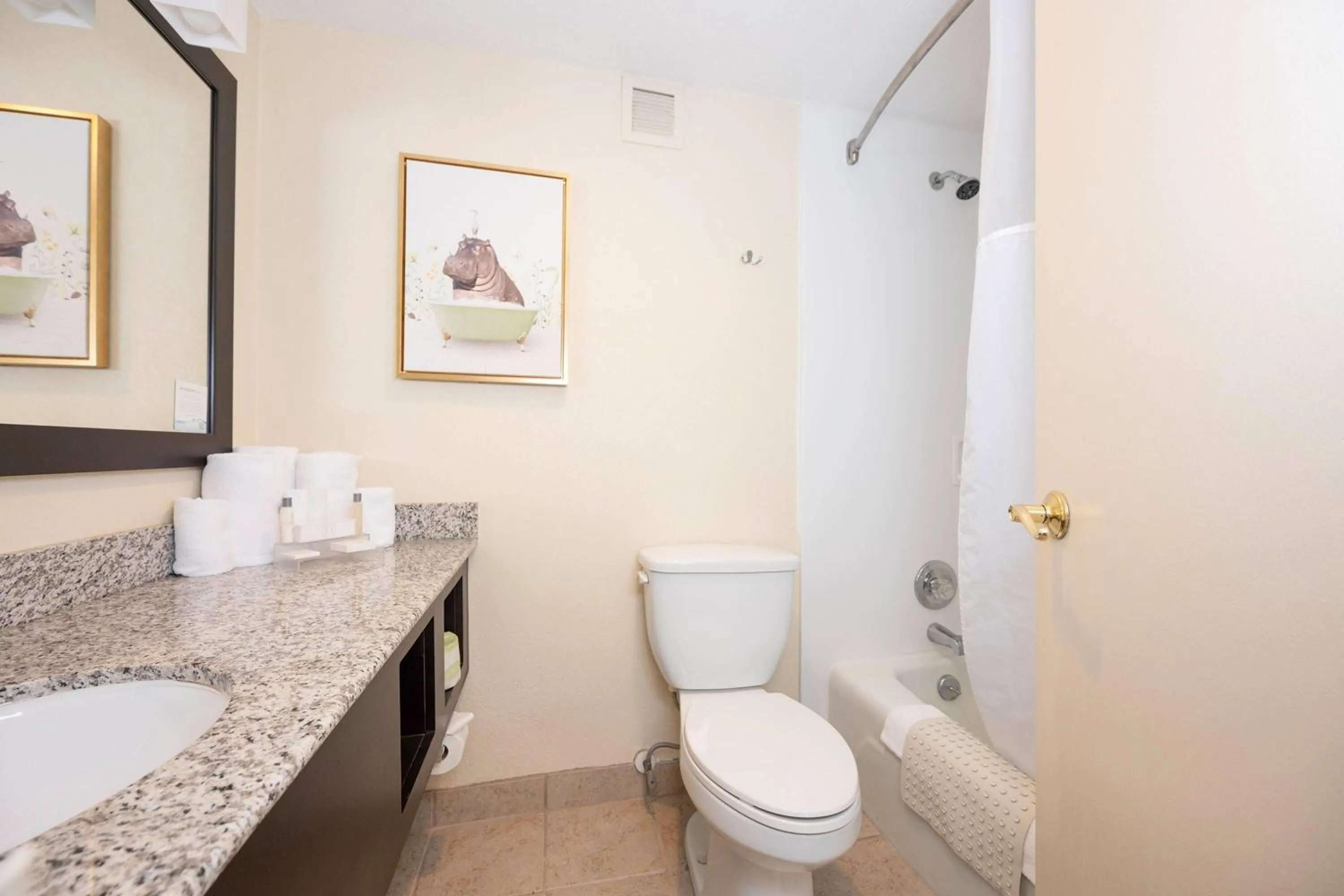 Bathroom in Village Inn Clemmons-Winston Salem, Trademark by Wyndham