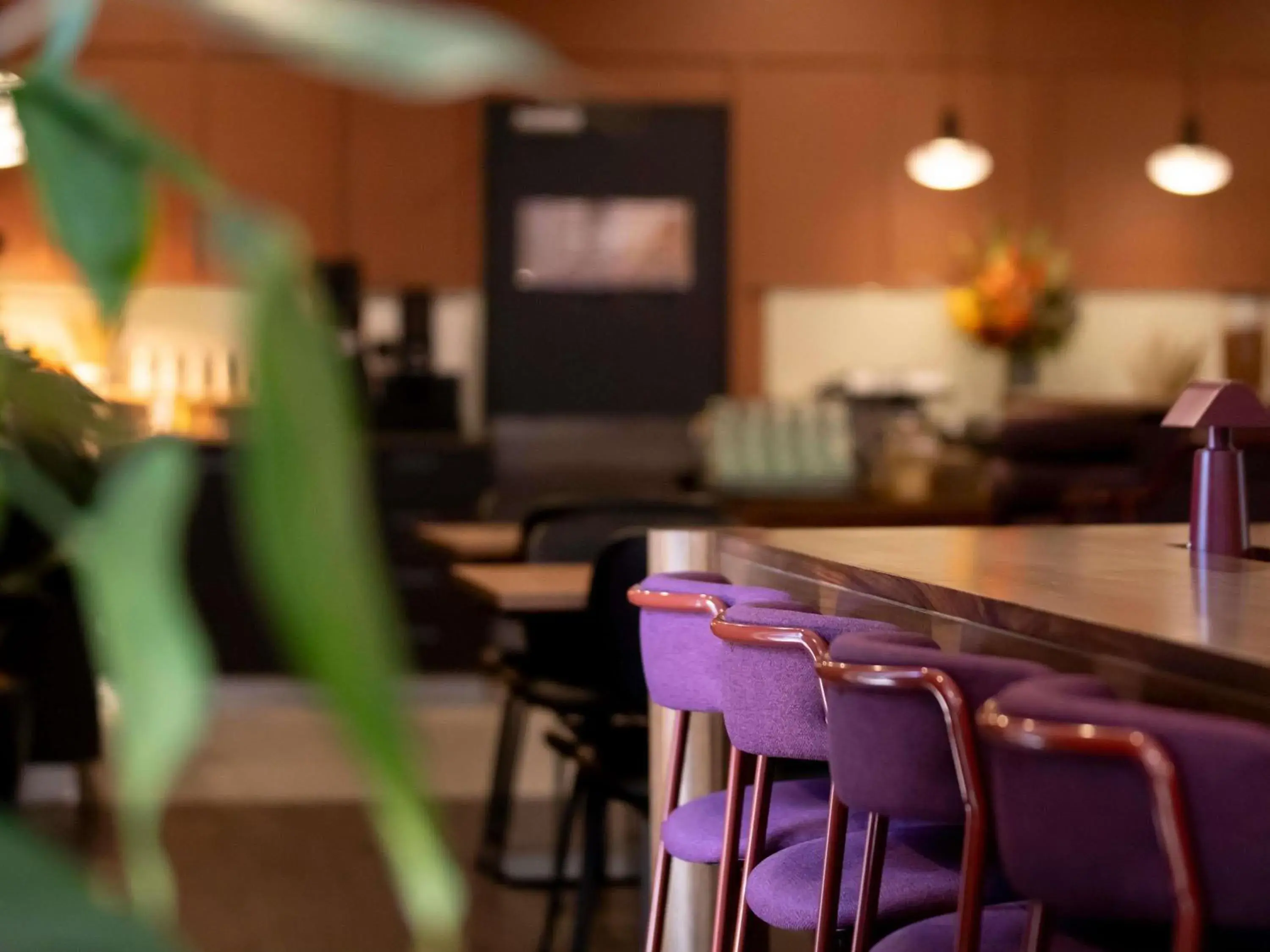 Restaurant/places to eat in Mercure Newcastle Restaurant/places to eat in Mercure Newcastle